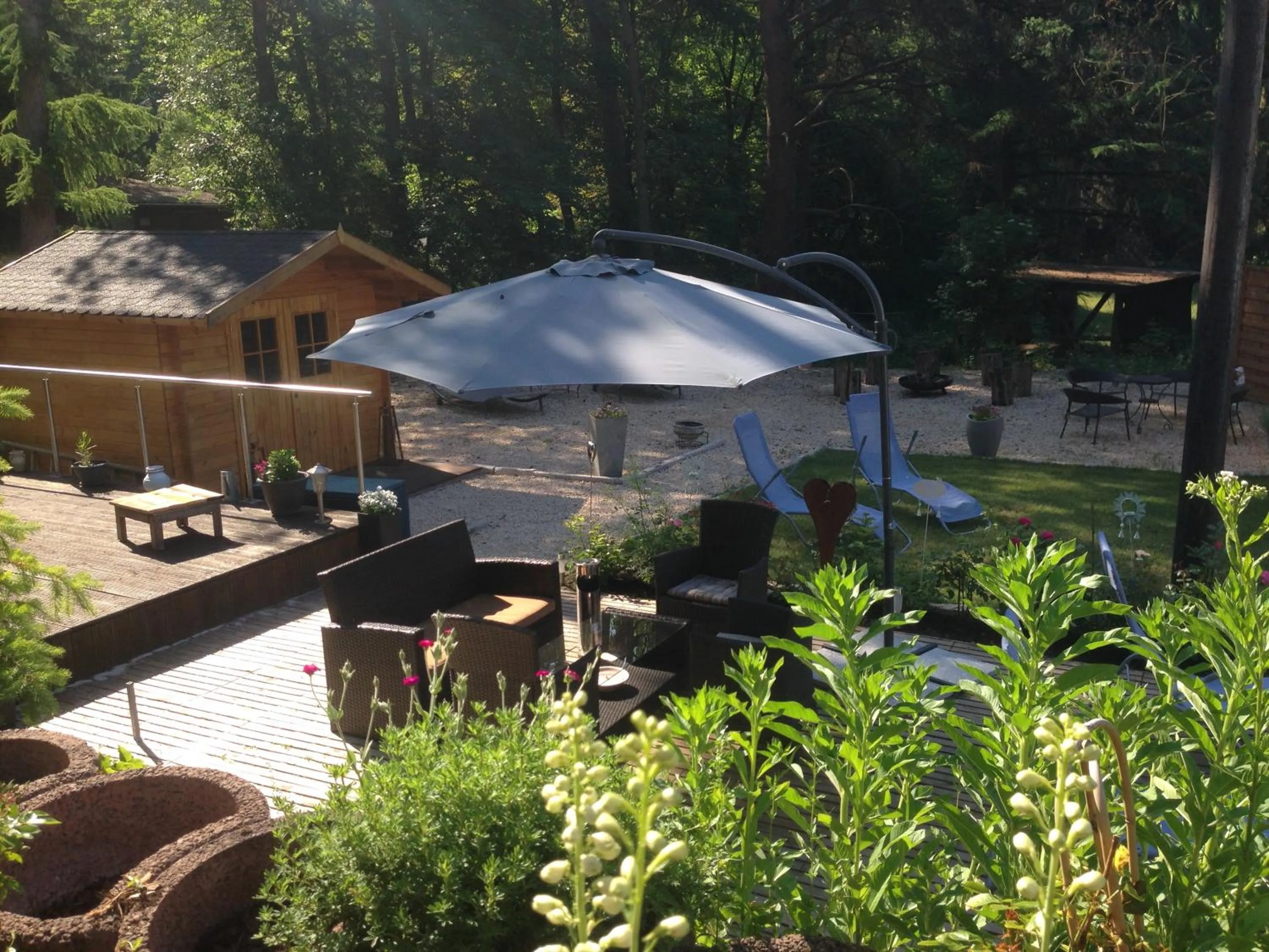 Garden in Hotel Sonnenhof