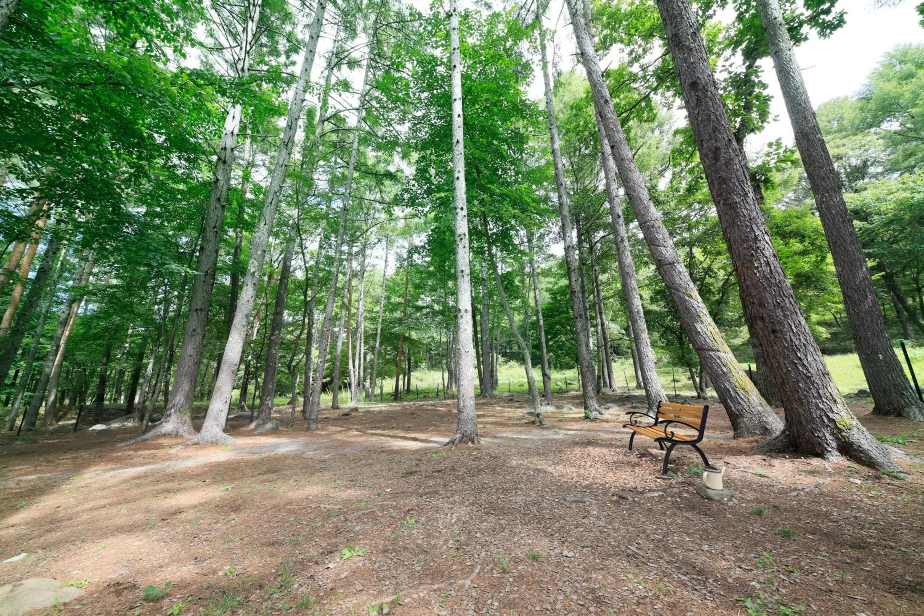 Garden in Yutorelo Tateshina Hotel with DOGS