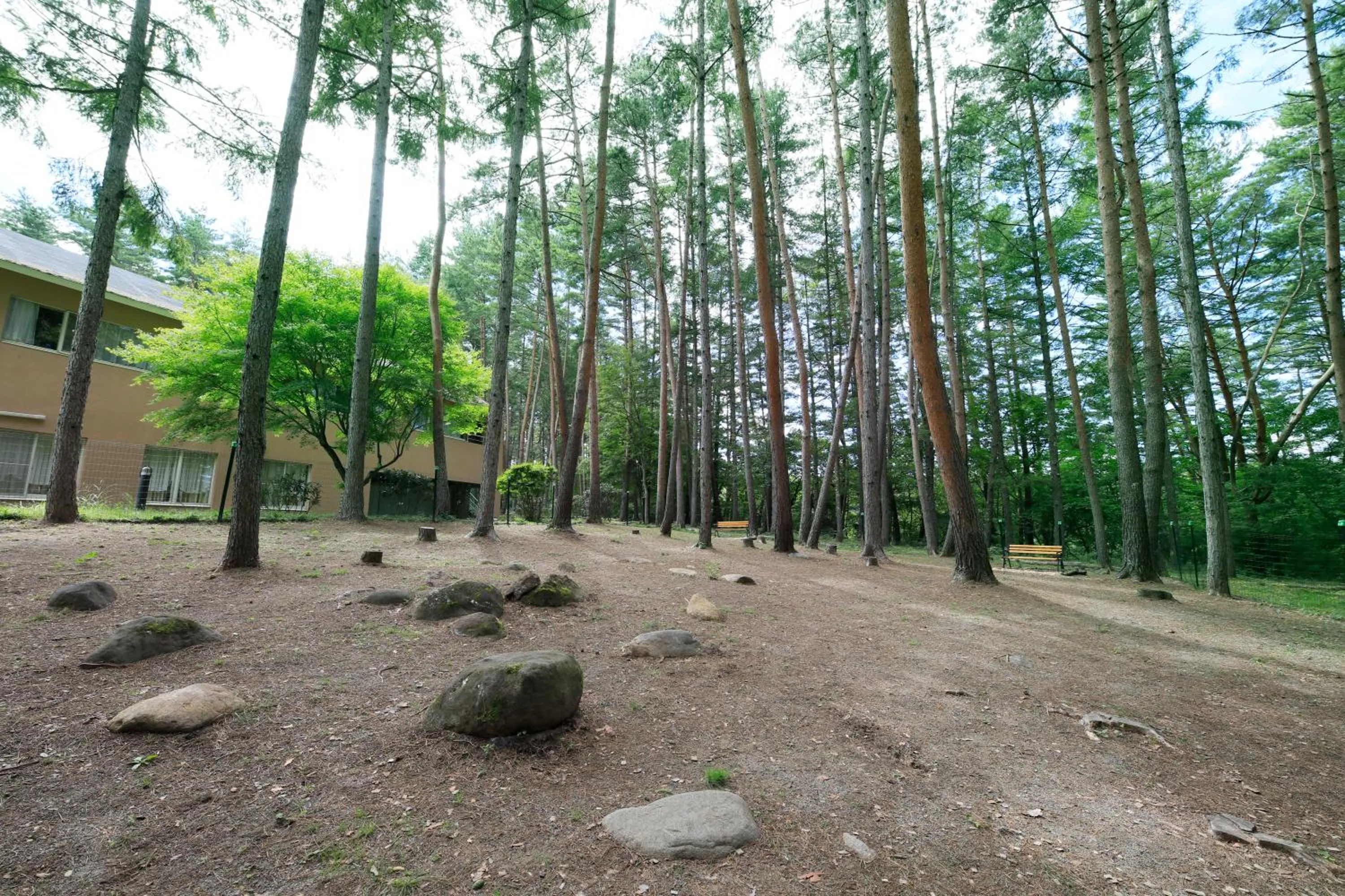 Garden in Yutorelo Tateshina Hotel with DOGS
