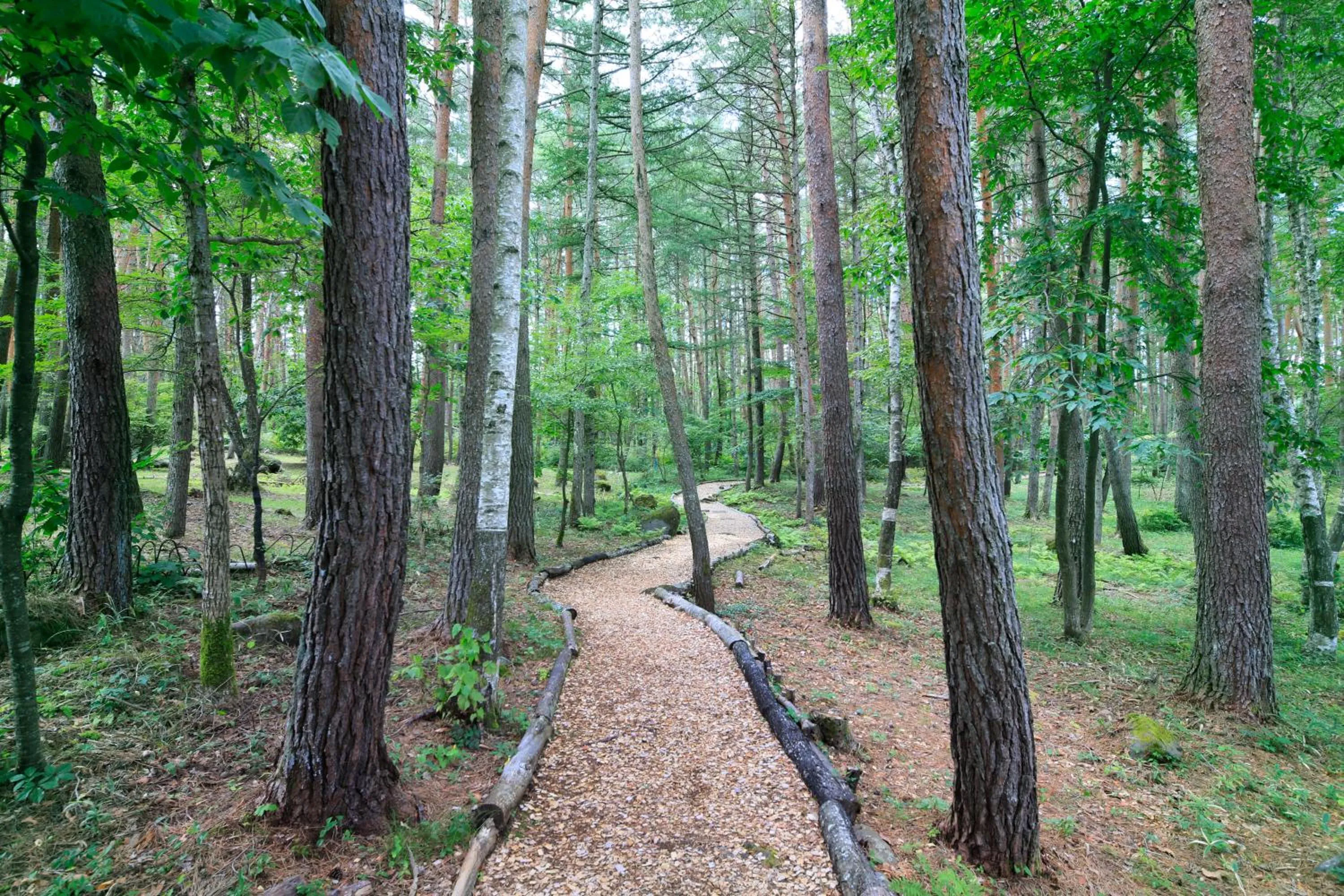 Garden in Yutorelo Tateshina Hotel with DOGS