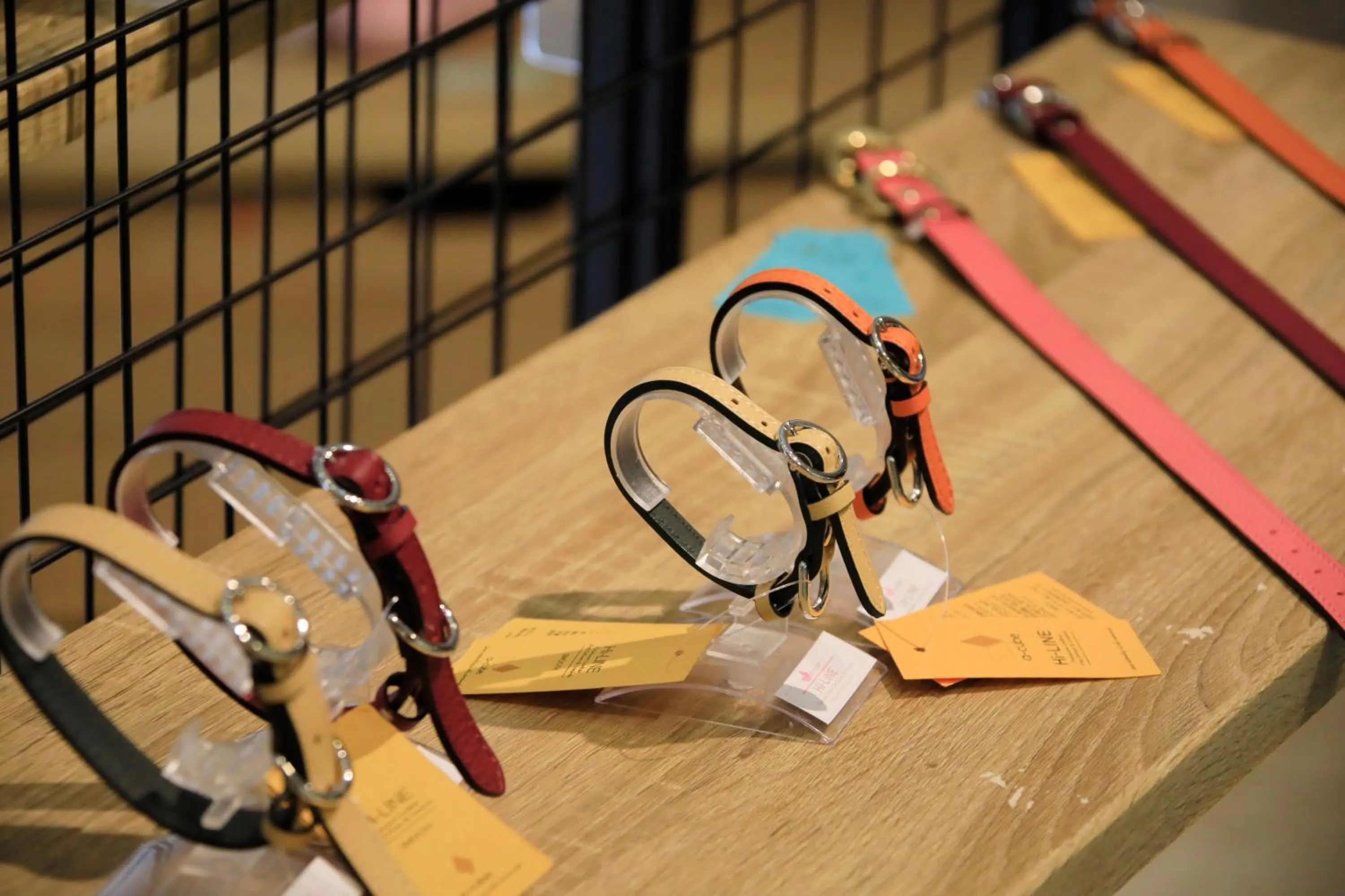 Other in Yutorelo Tateshina Hotel with DOGS