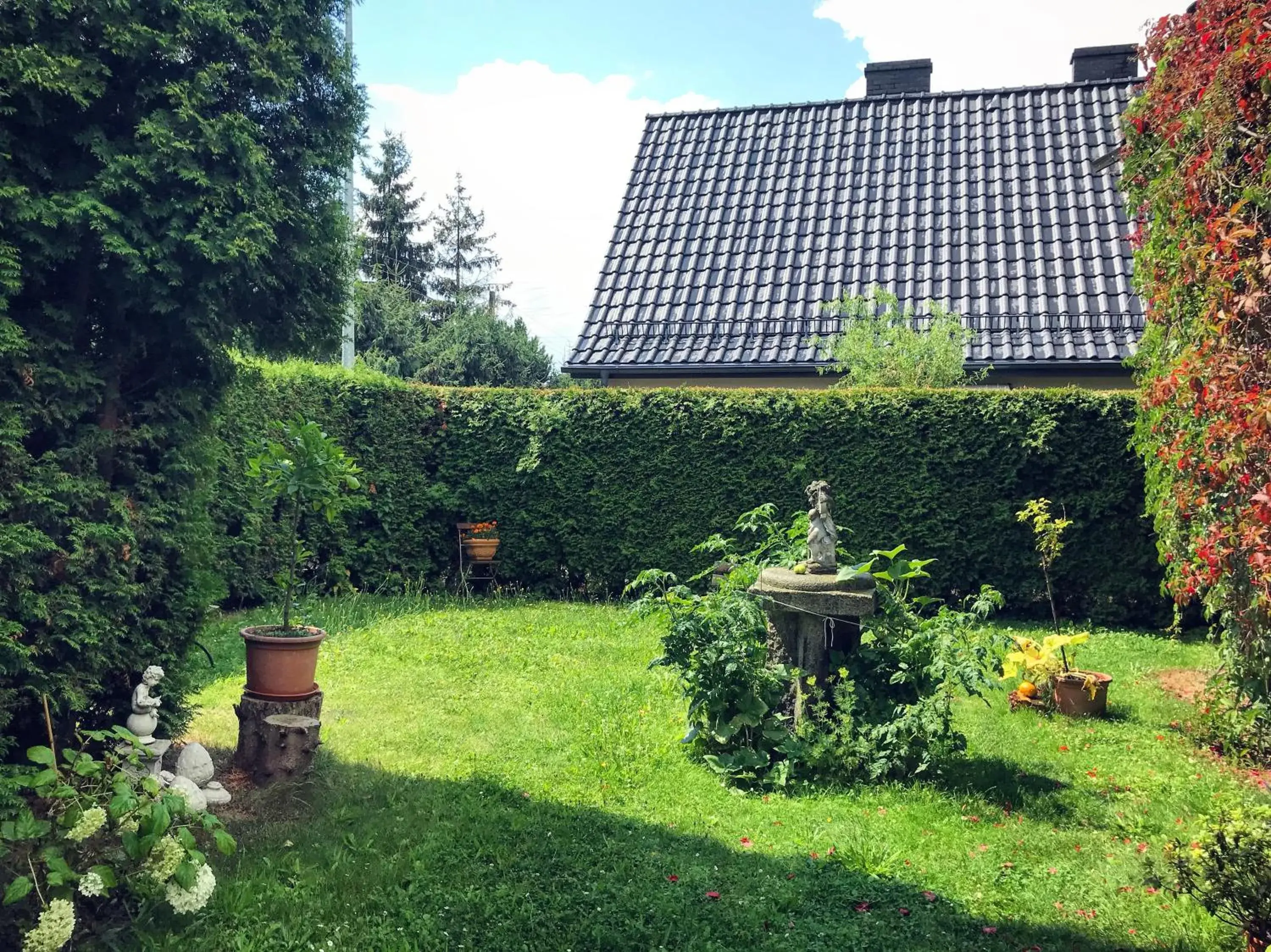 View (from property/room) in Dworek Adamski View (from property/room) in Dworek Adamski