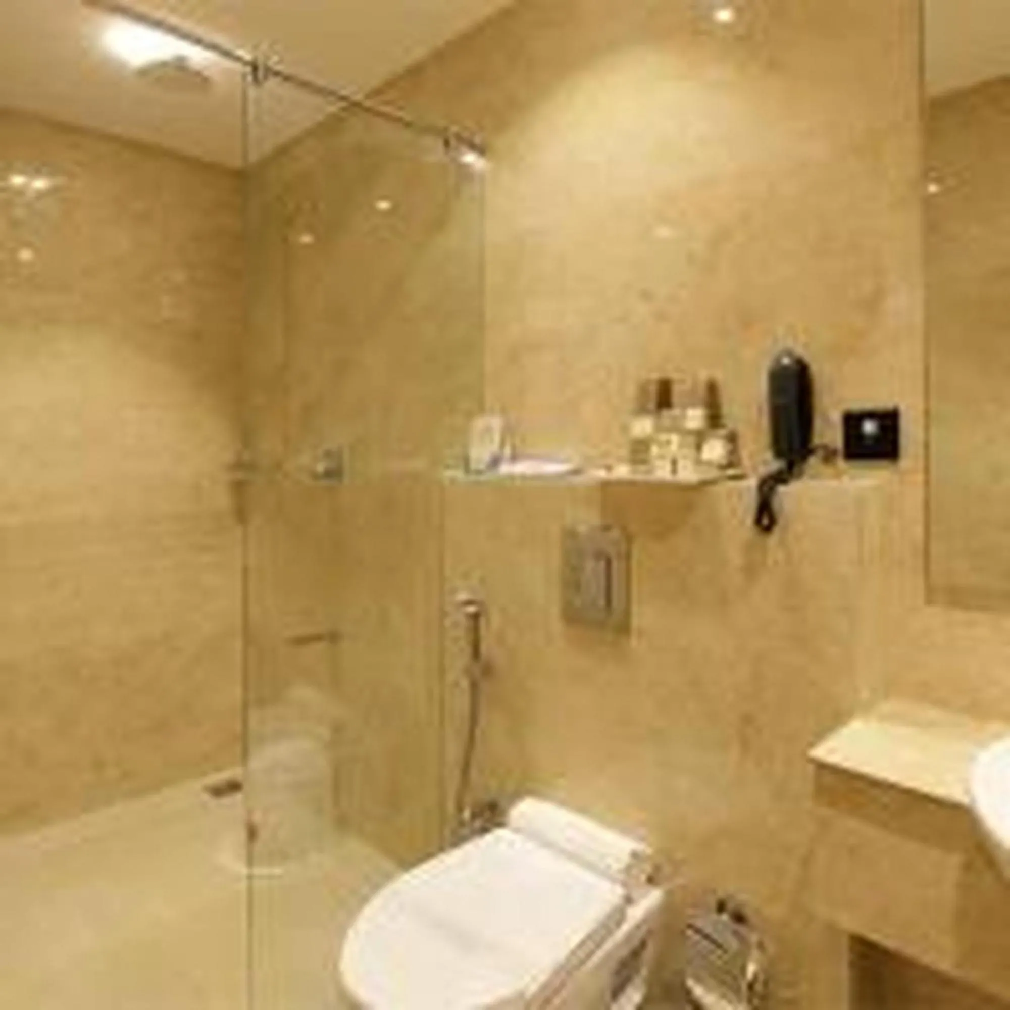 Bathroom in Park Residency Kodungallur