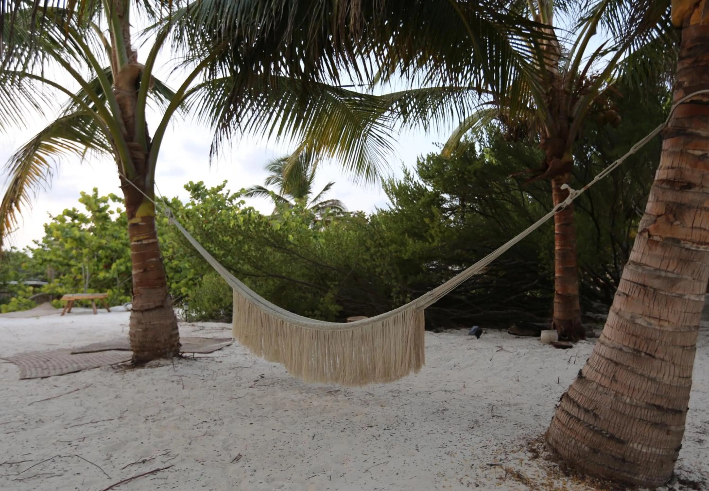 Natural landscape in Glamp Ikal Tulum