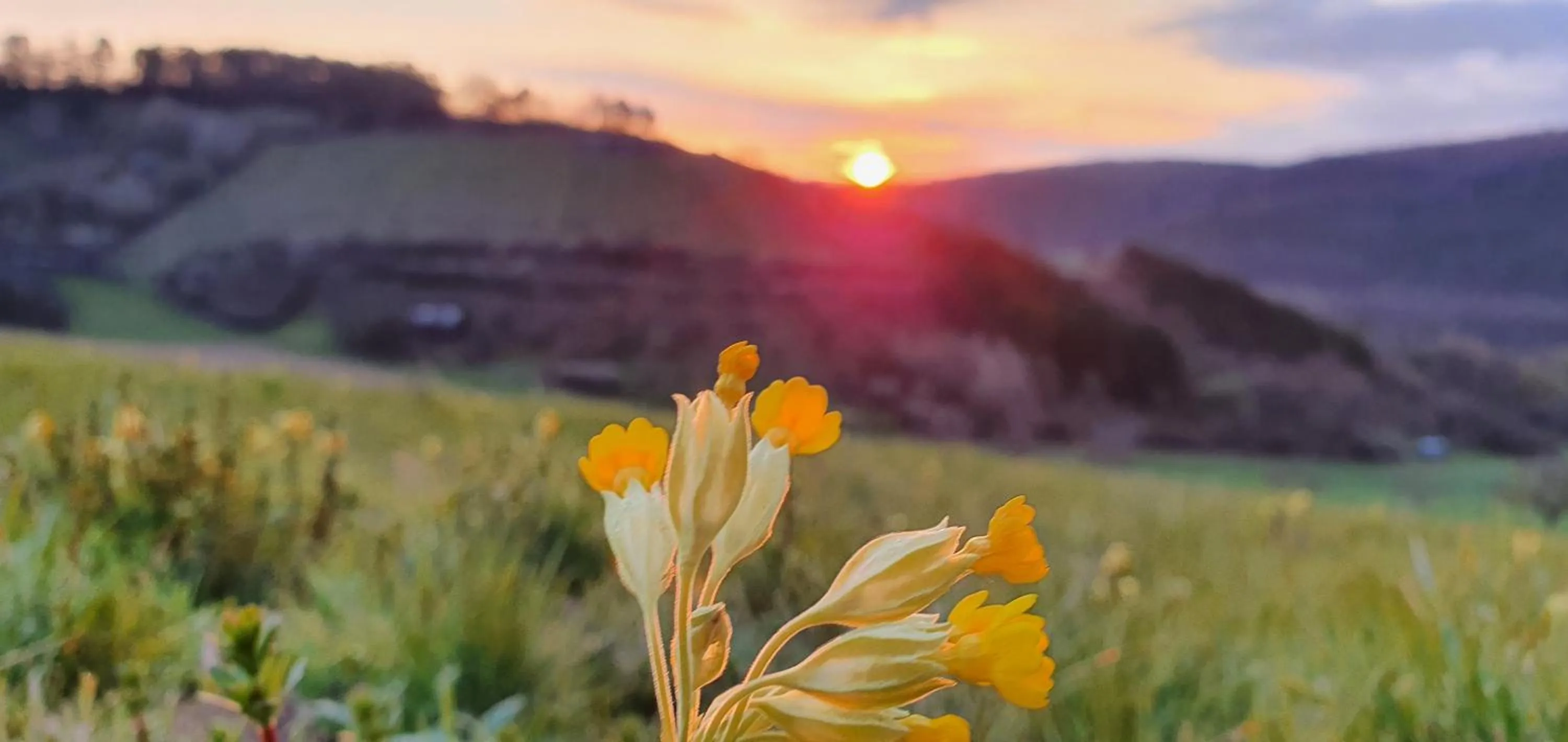 Natural landscape in Gasthaus & Hotel Drei Lilien