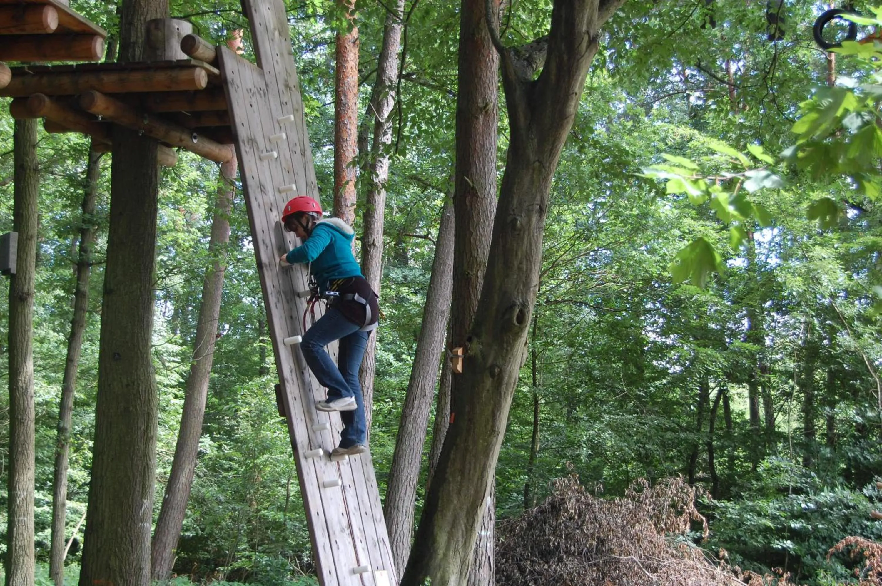 People in Gasthaus & Hotel Drei Lilien