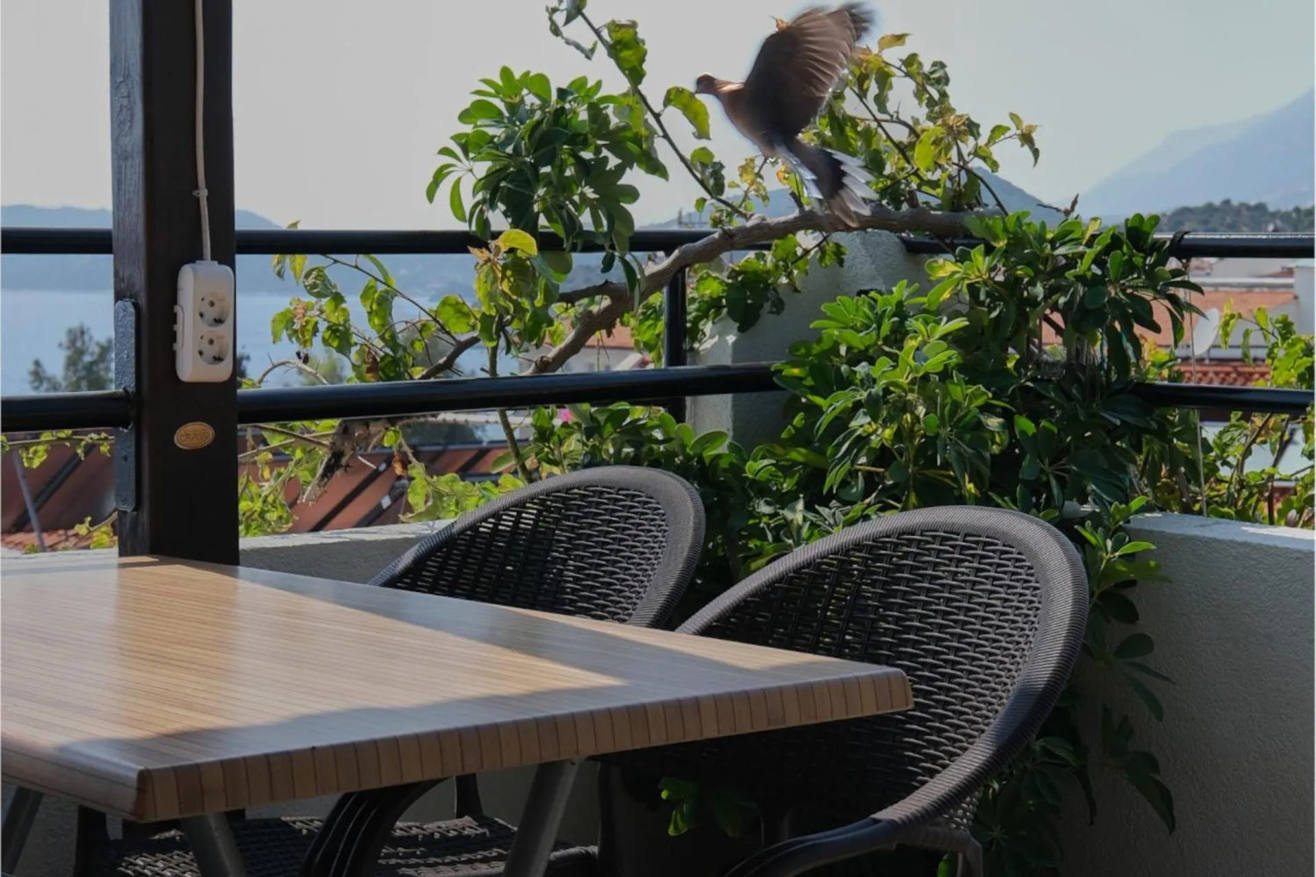 View (from property/room) in CARETTA PANSİYOn