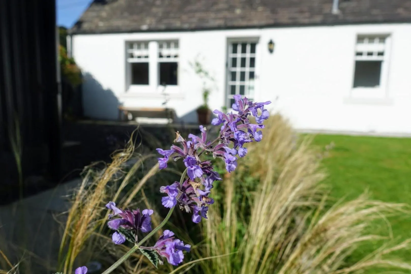 Garden in Ross Lodge