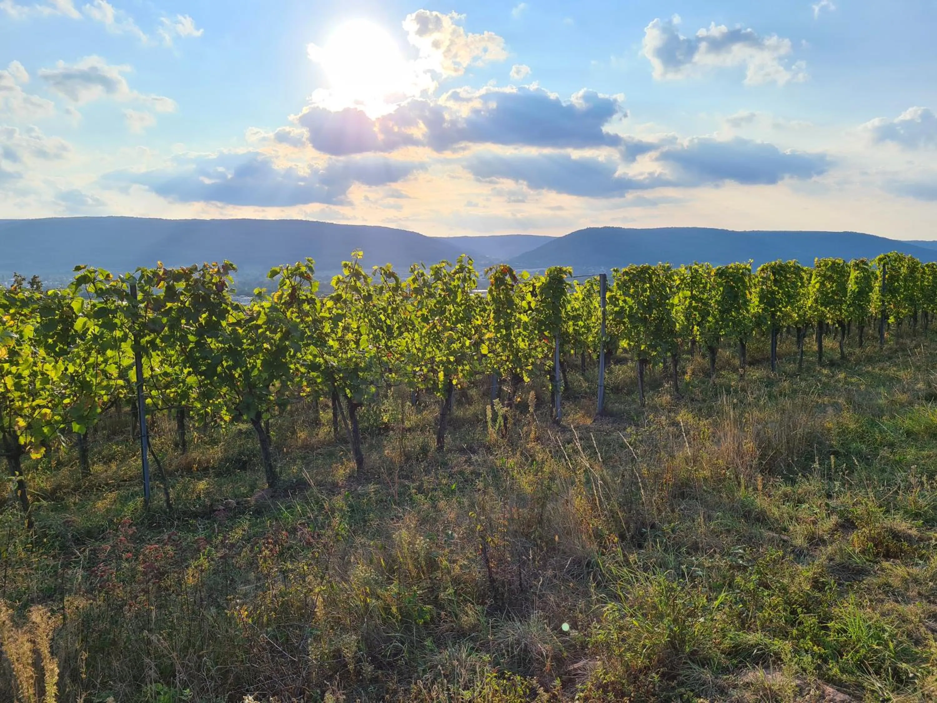Spring in Hotel Goldenes Fass