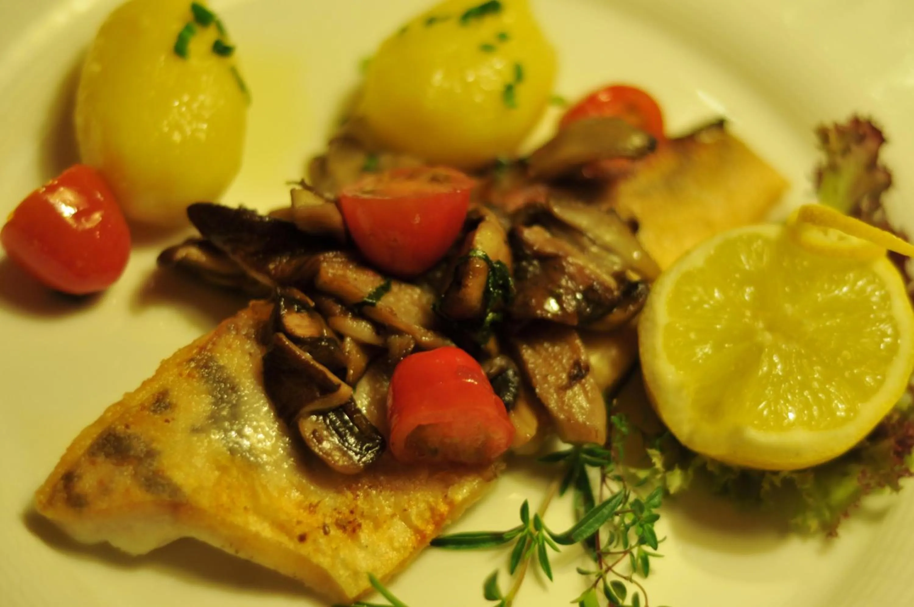 Restaurant/places to eat in Hotel Central