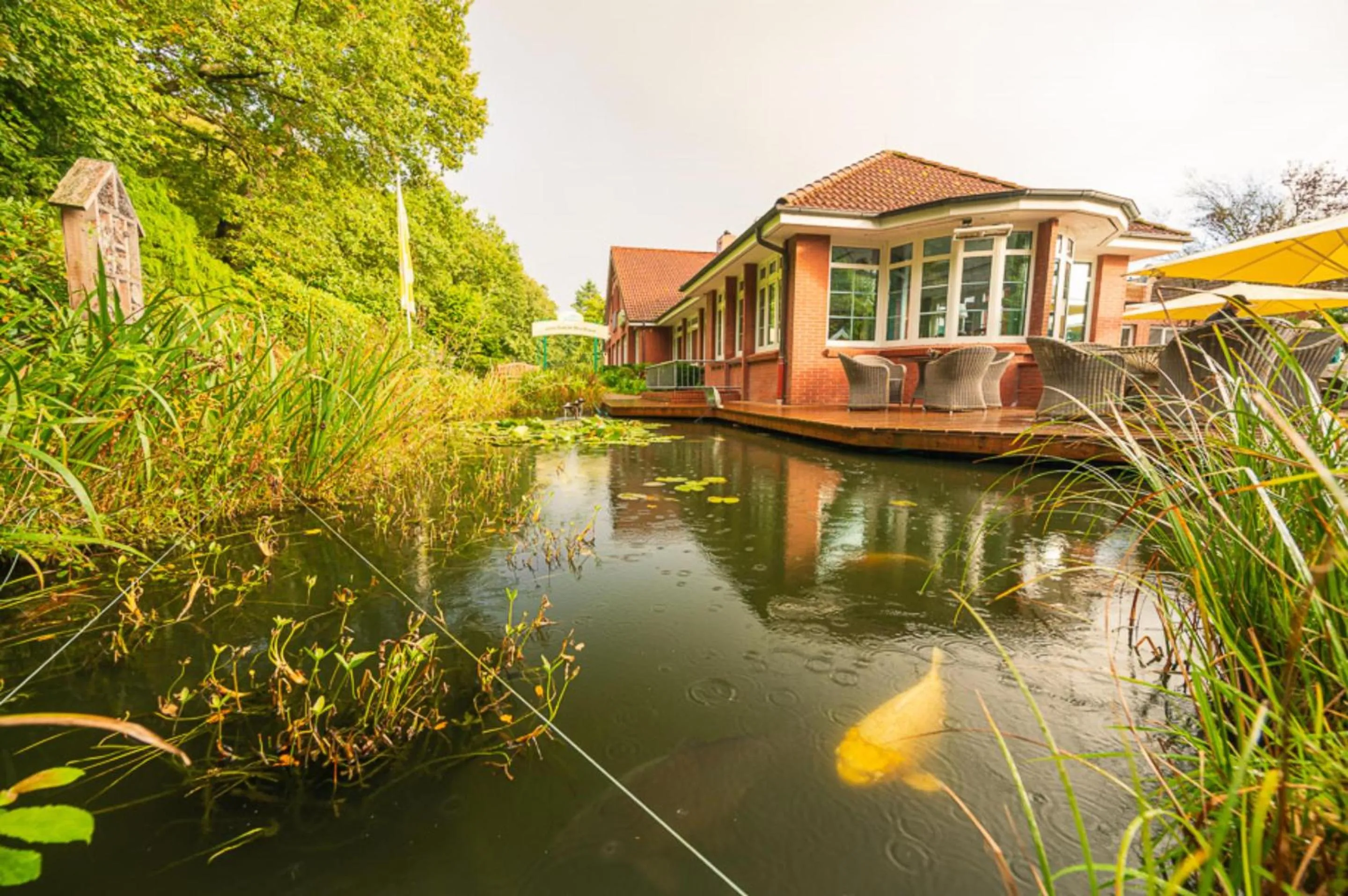 Balcony/Terrace in Köhlers Forsthaus Wellness & Genuss Hotel