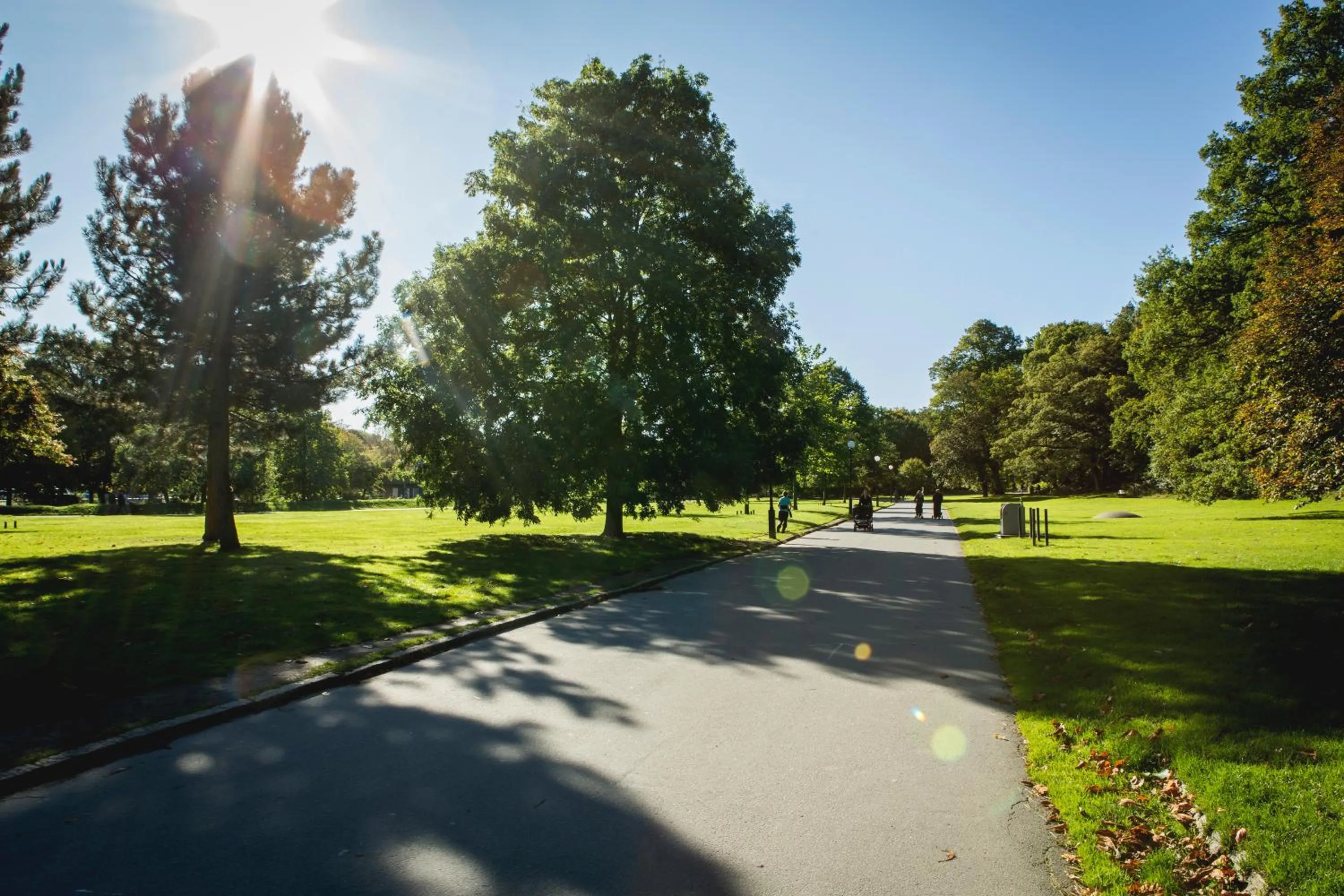 Nearby landmark in Linnéplatsens Hotell & Vandrarhem