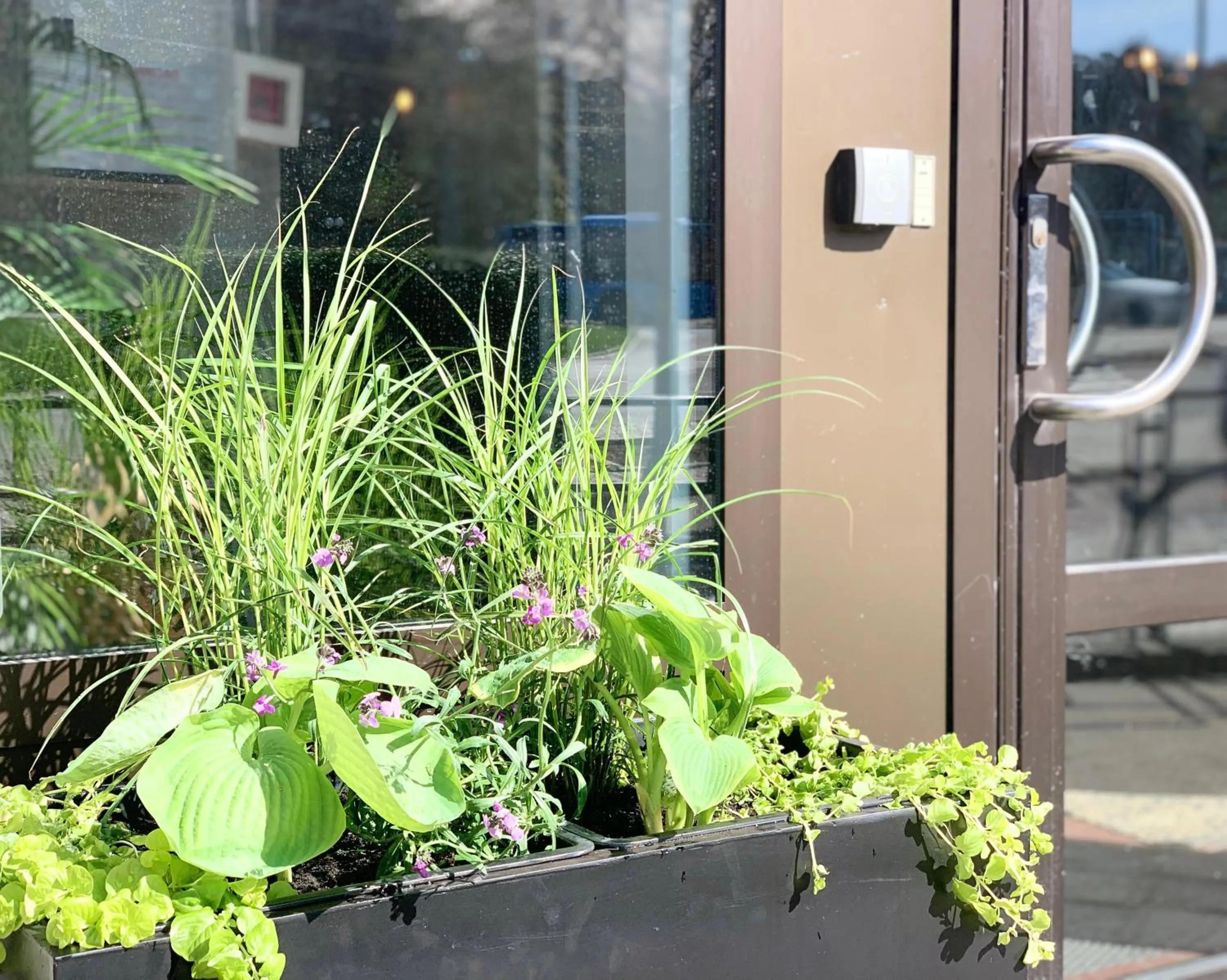 Property building in Linnéplatsens Hotell & Vandrarhem