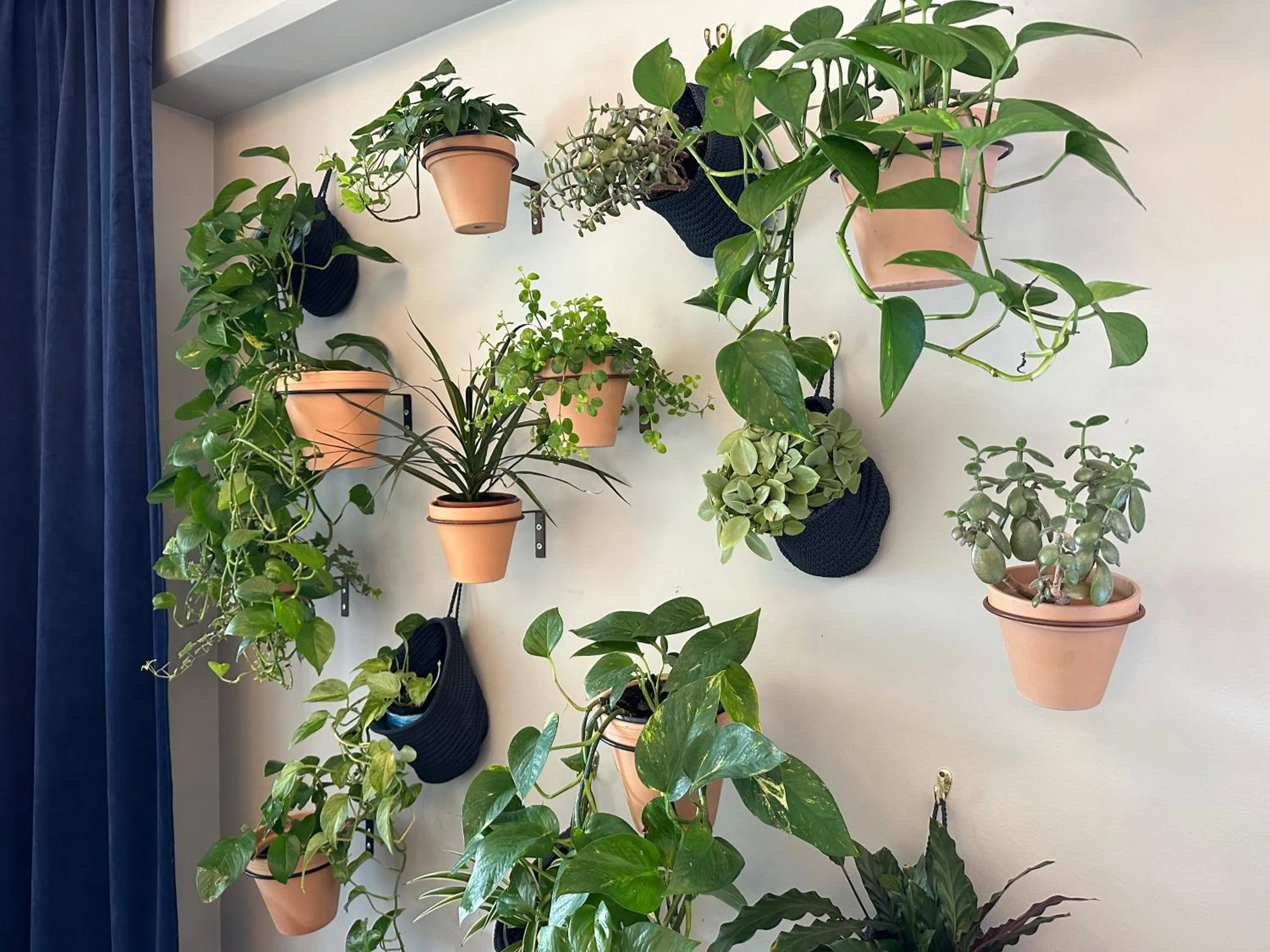 Decorative detail in Linnéplatsens Hotell & Vandrarhem