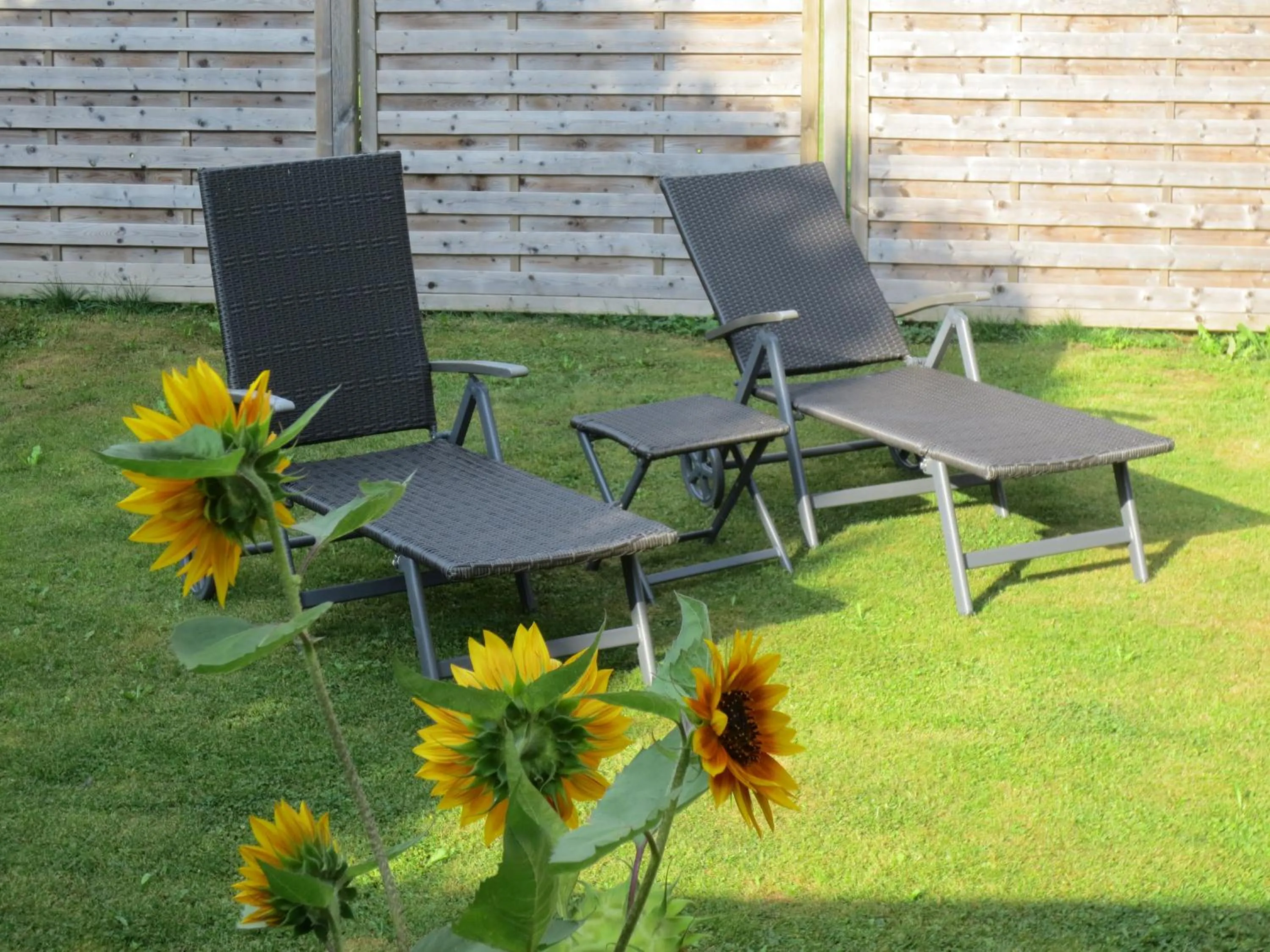 Garden in Hotel Alp Inn - Chiemgaukarte inclusive