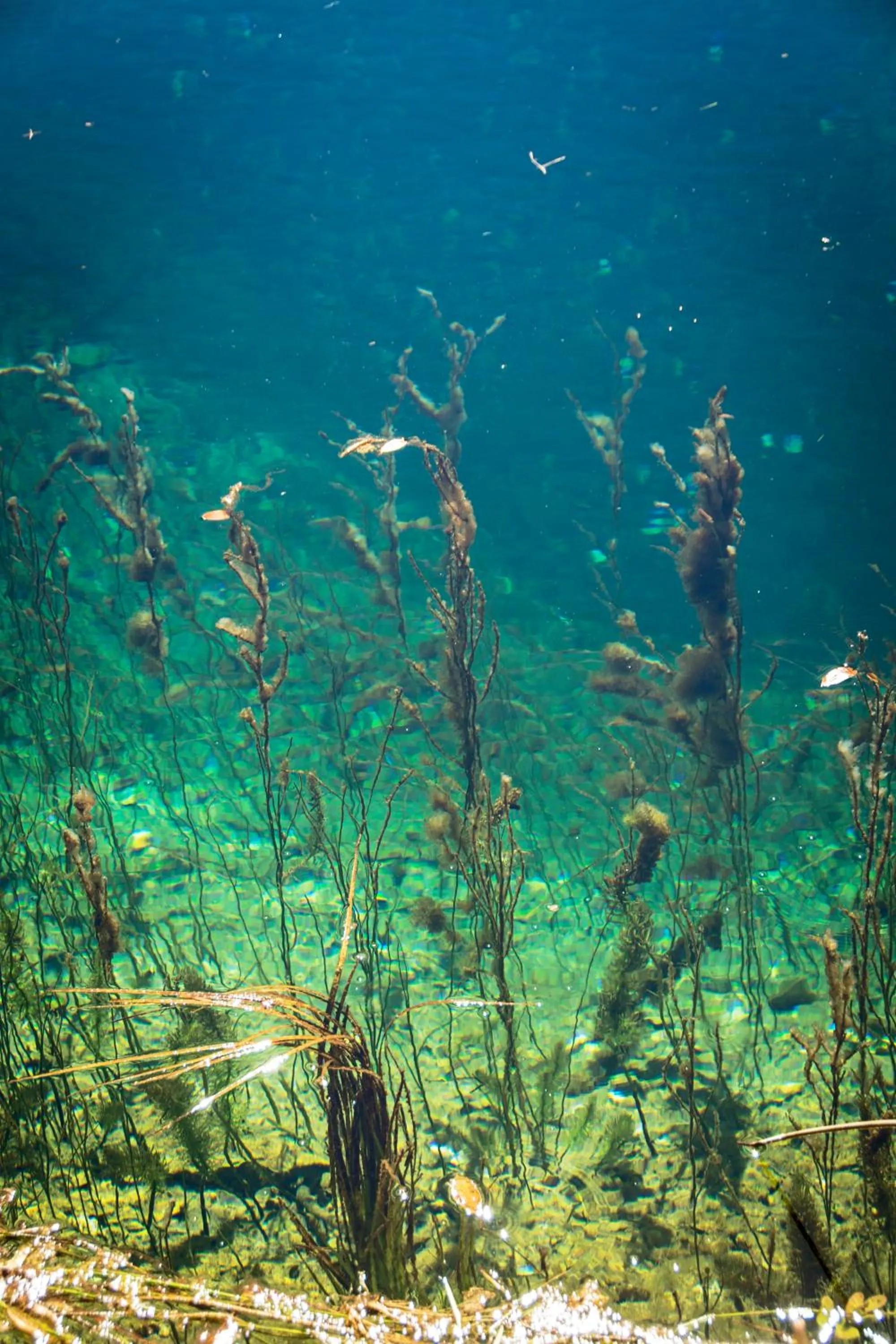 La Casa del Cura de Calatañazor