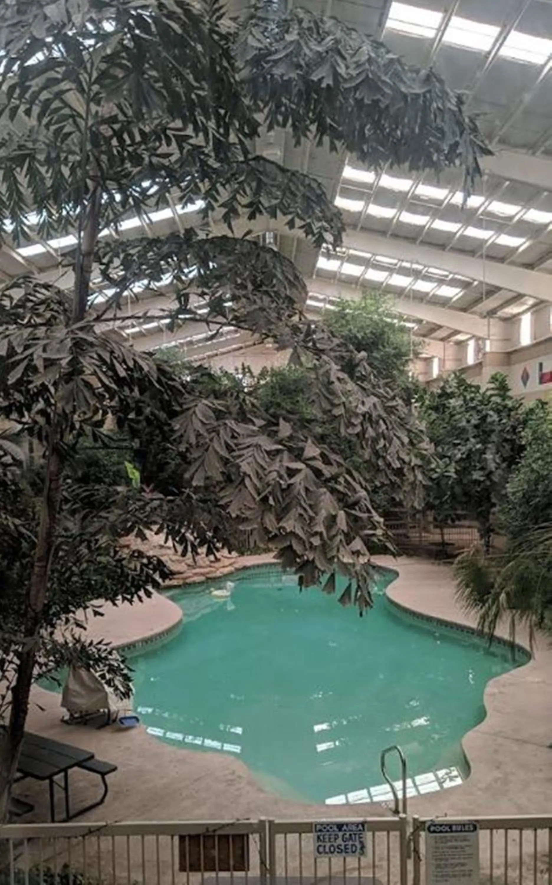 Pool view in Atrium Inn