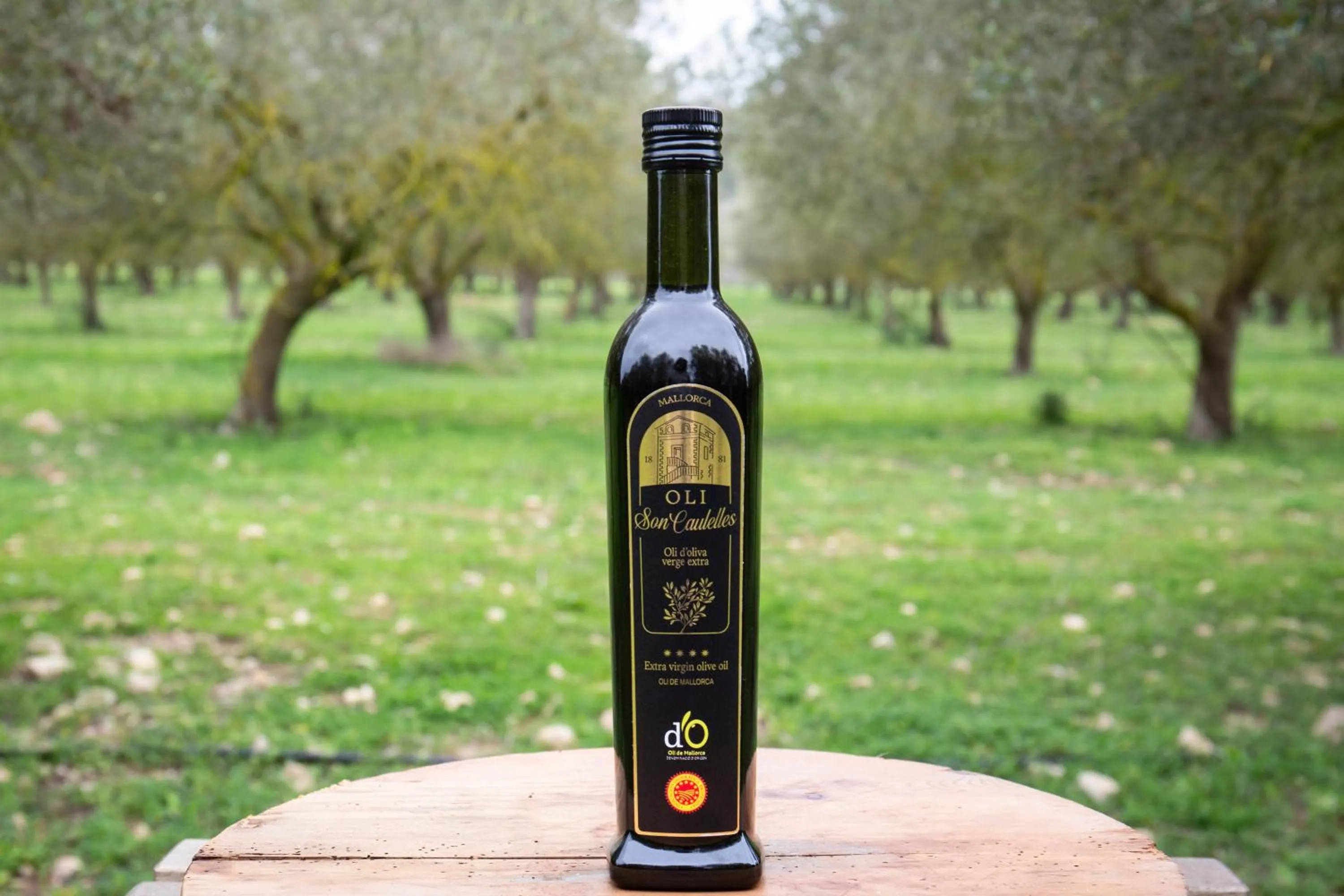 Restaurant/places to eat in S'Hort de Son Caulelles - Adults Only