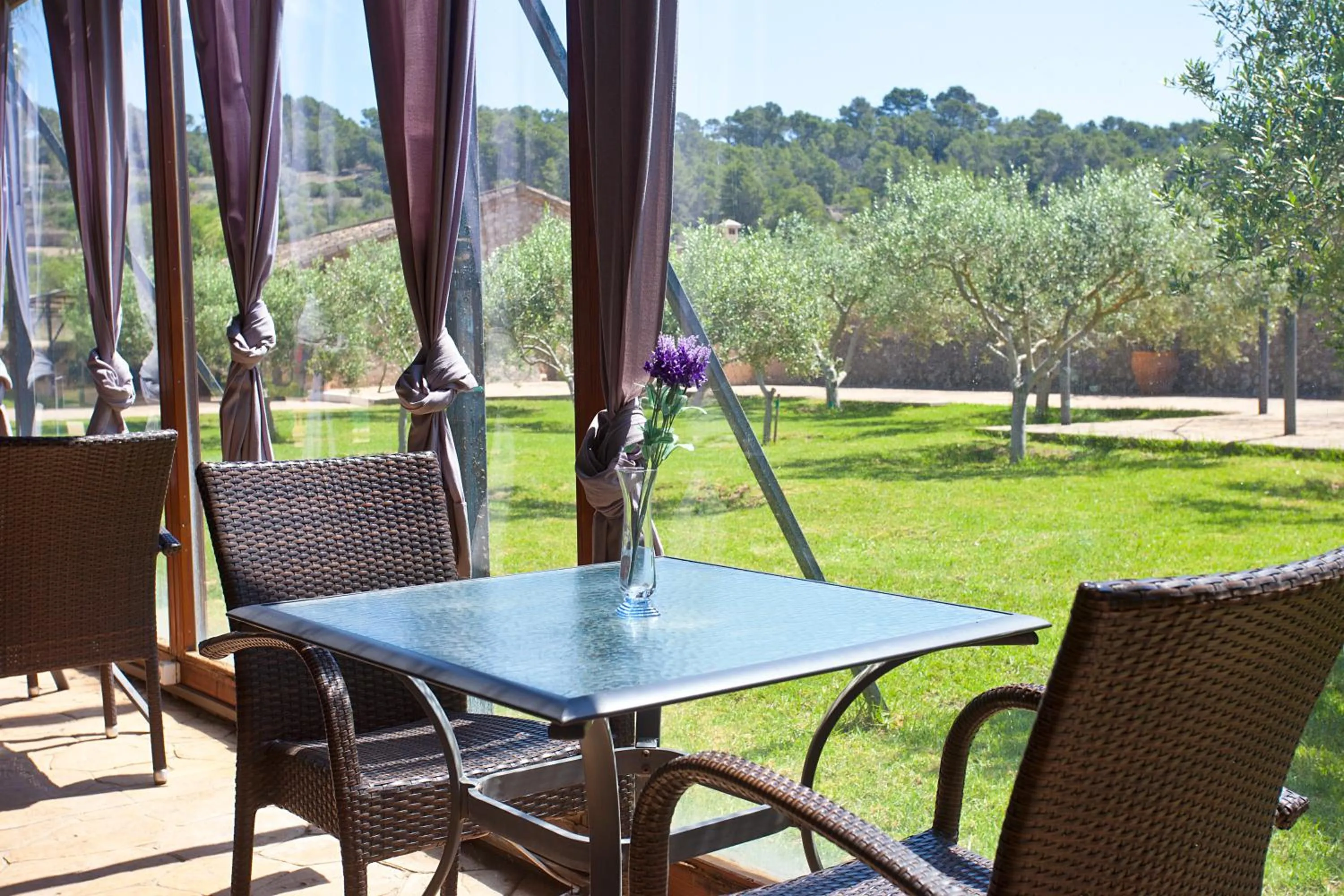 Restaurant/places to eat in S'Hort de Son Caulelles - Adults Only