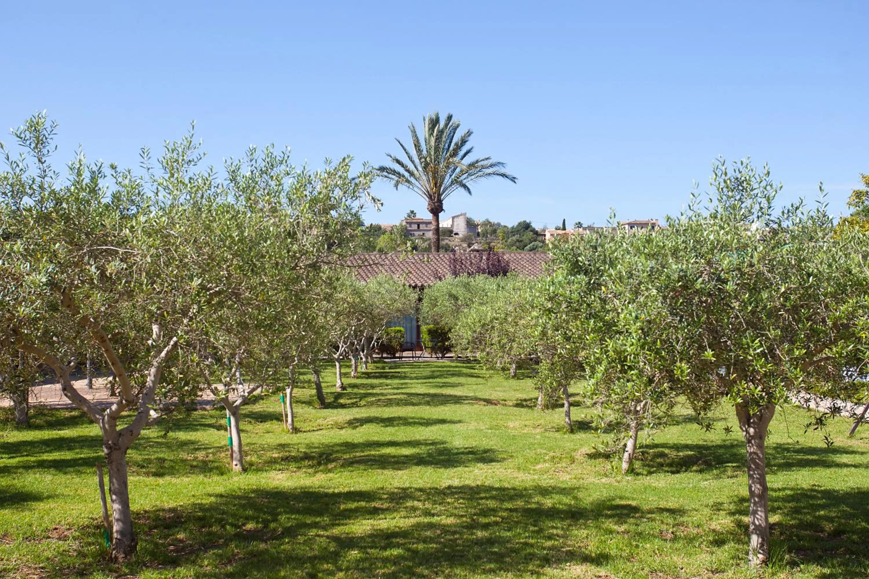 Garden in S'Hort de Son Caulelles - Adults Only