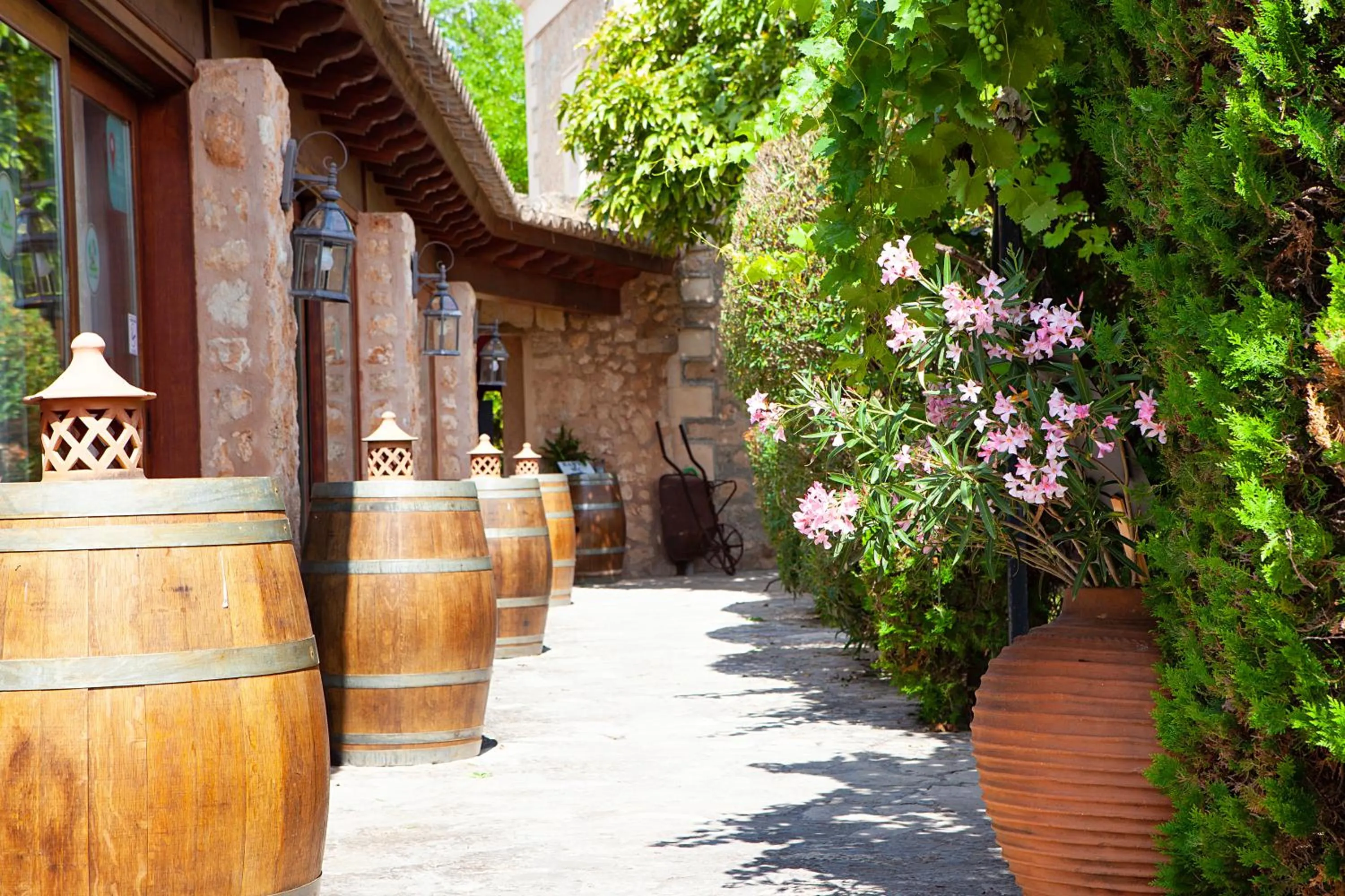 Garden in S'Hort de Son Caulelles - Adults Only