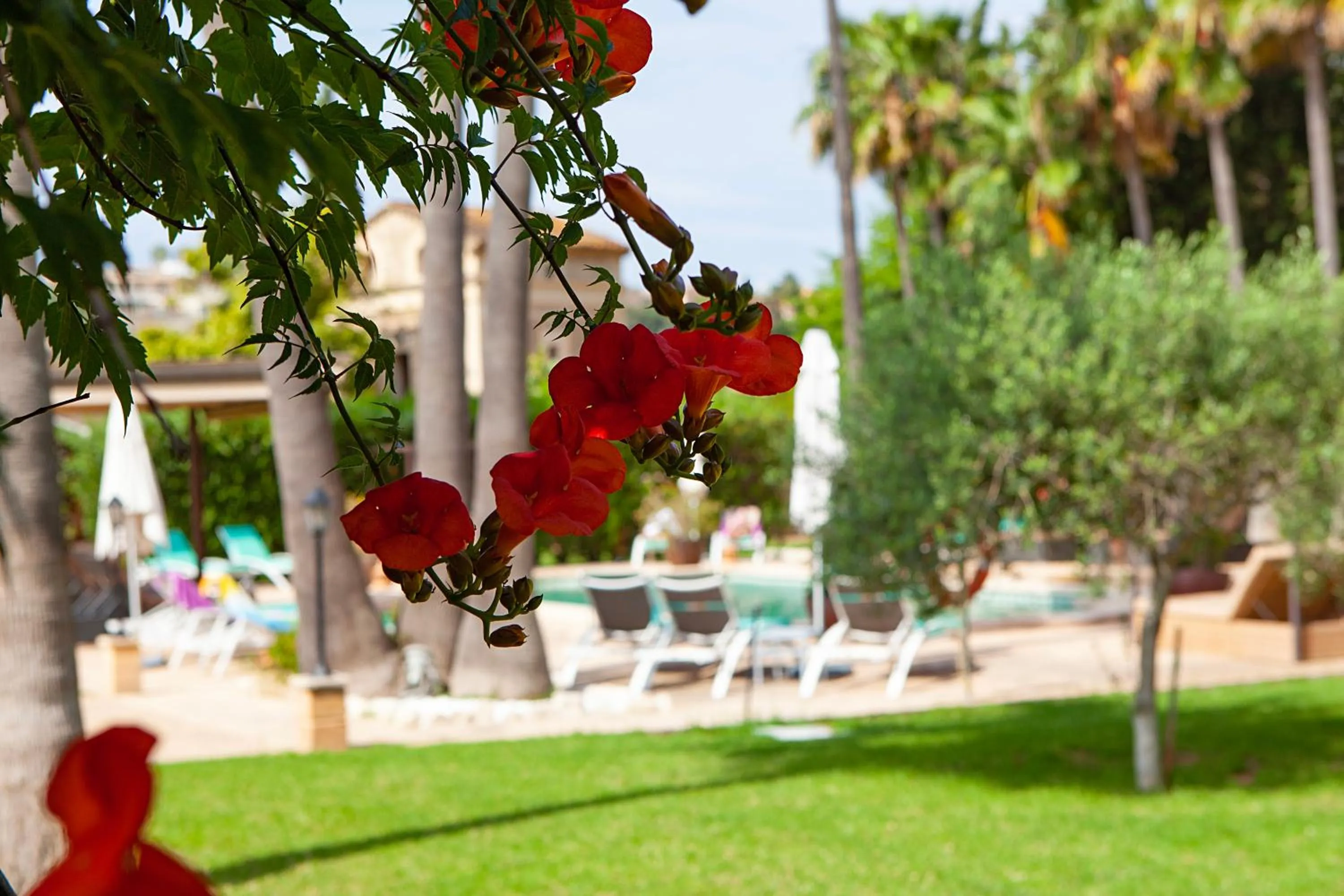 Garden in S'Hort de Son Caulelles - Adults Only