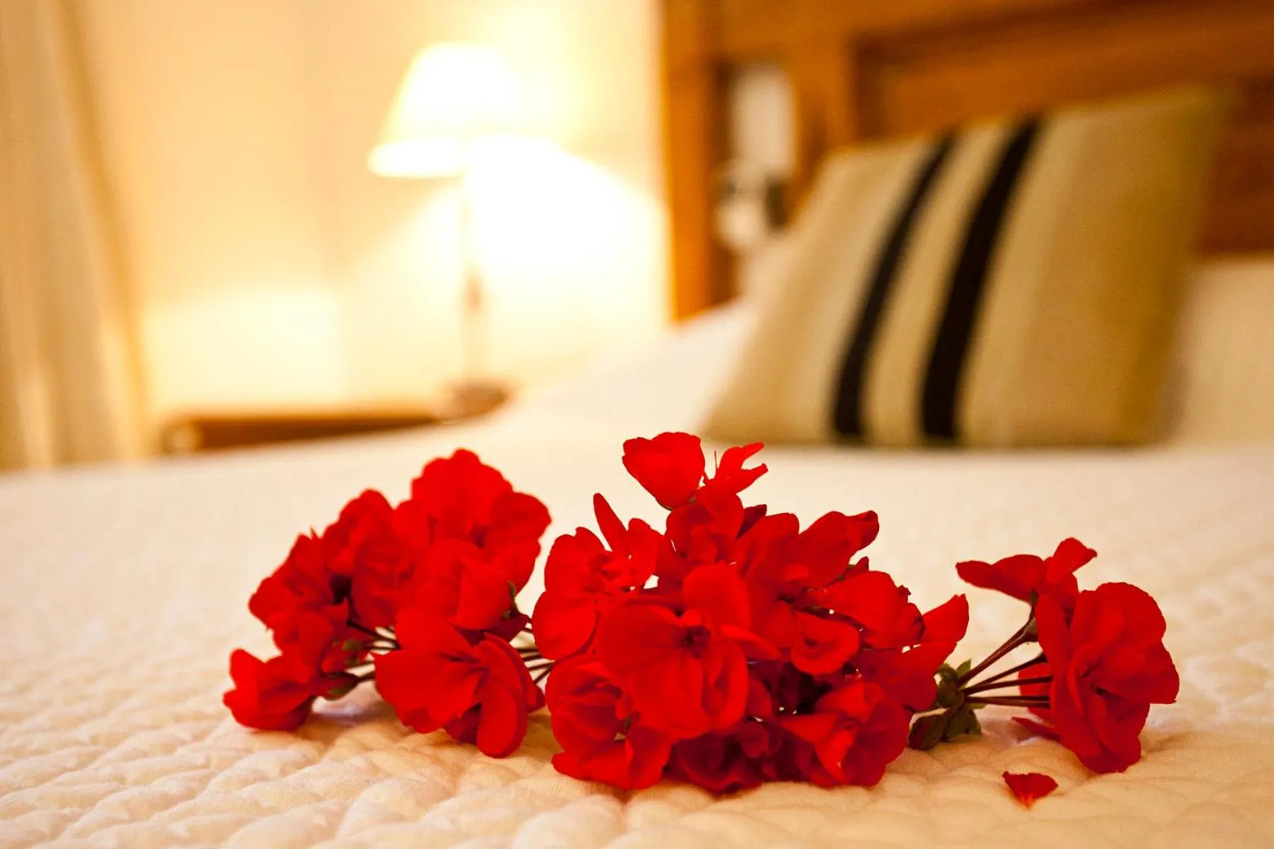 Bed in S'Hort de Son Caulelles - Adults Only