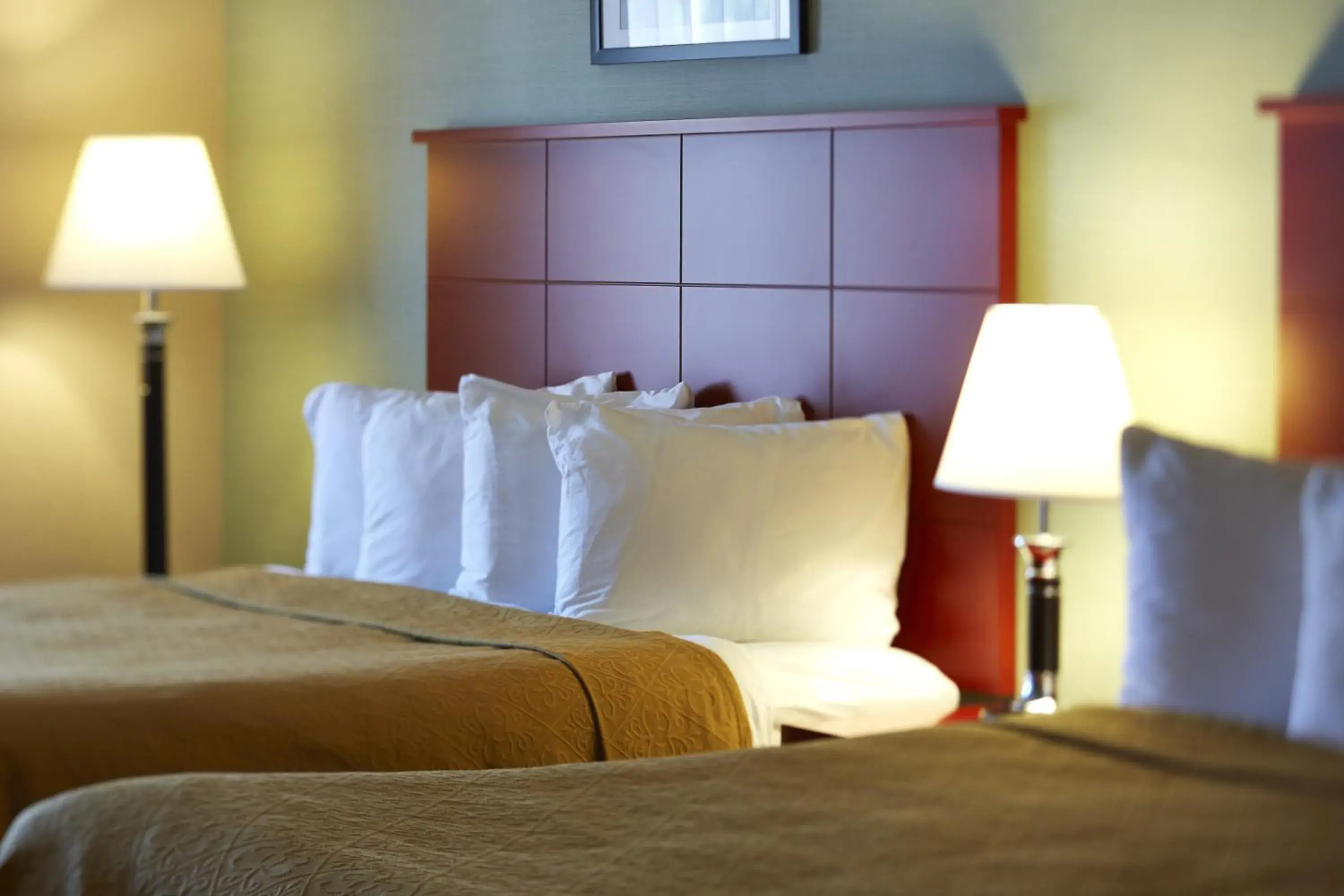 Bedroom, Bed in Quality Inn Southampton Bedroom, Bed in Quality Inn Southampton