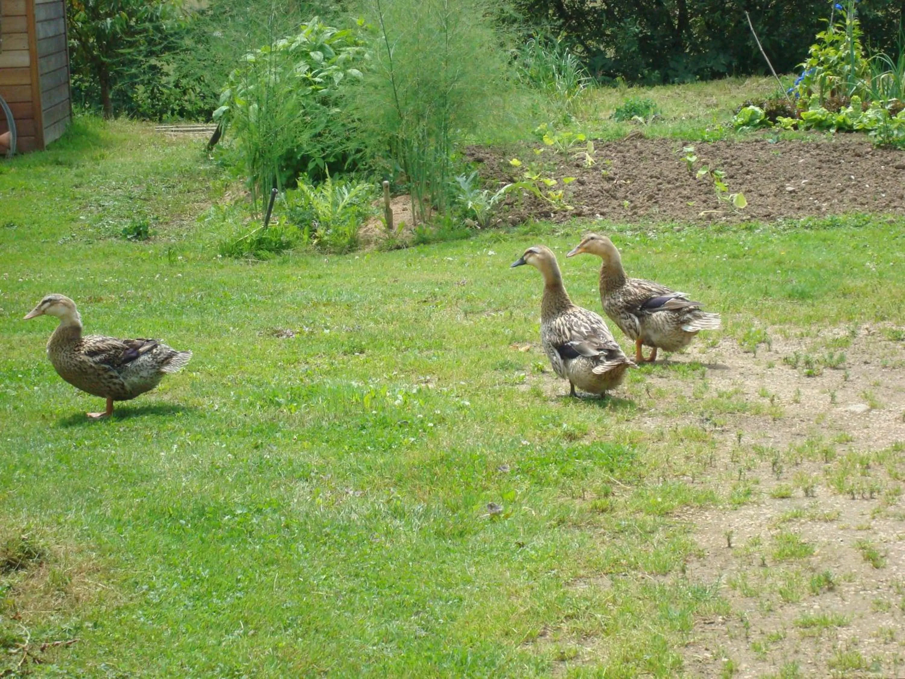La Chambre du Meunier