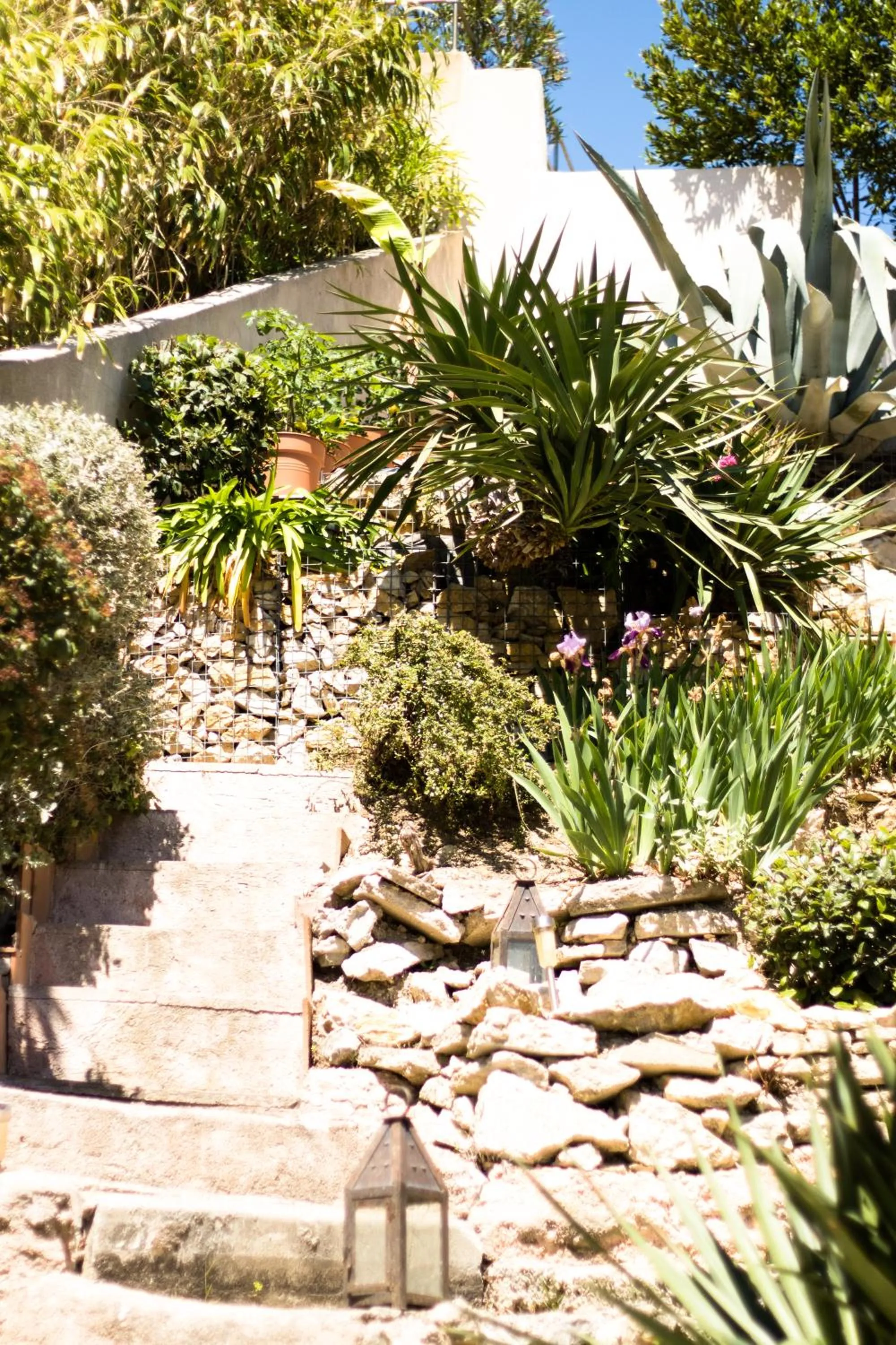 Garden in Les Chambres d'Hôtes du Grand Mornas