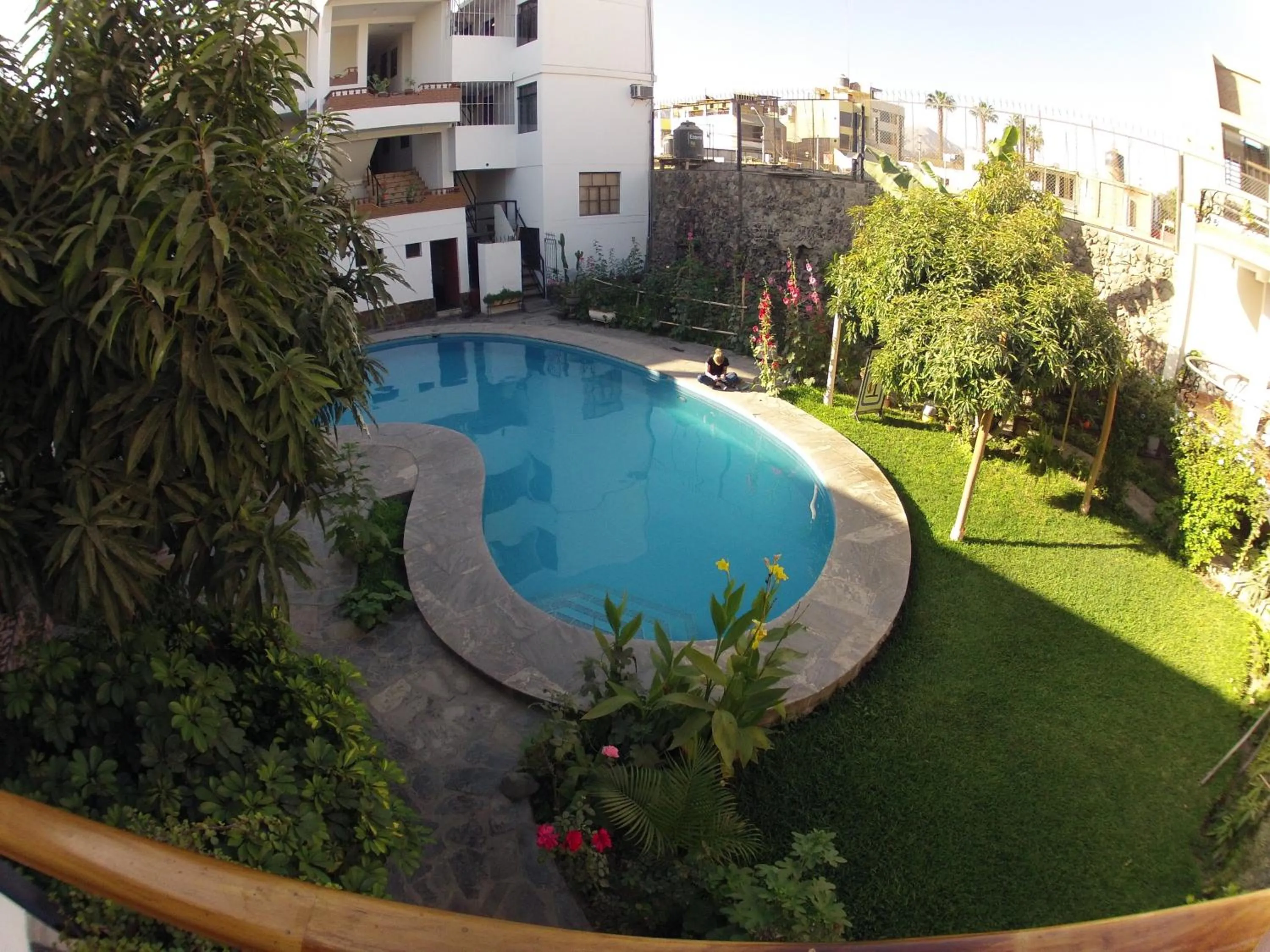 Swimming pool in Hotel Alegria Nasca