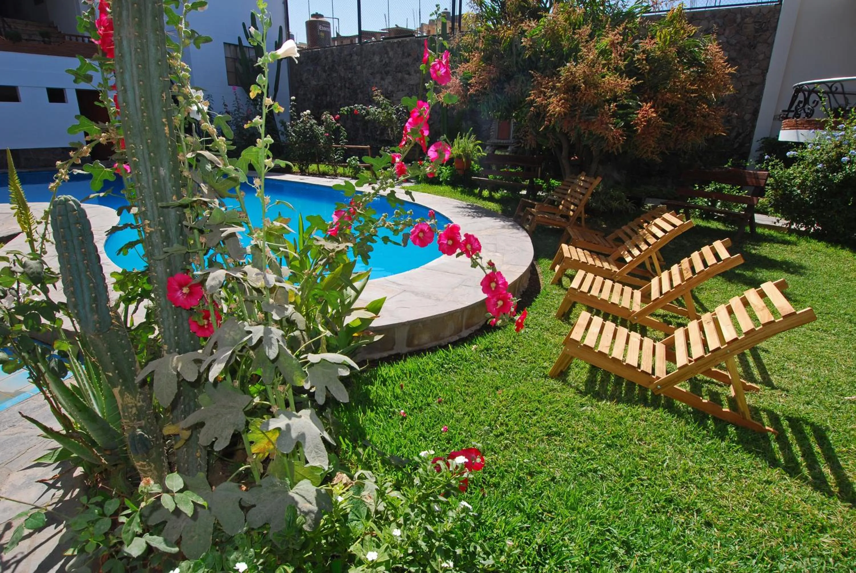 Garden in Hotel Alegria Nasca