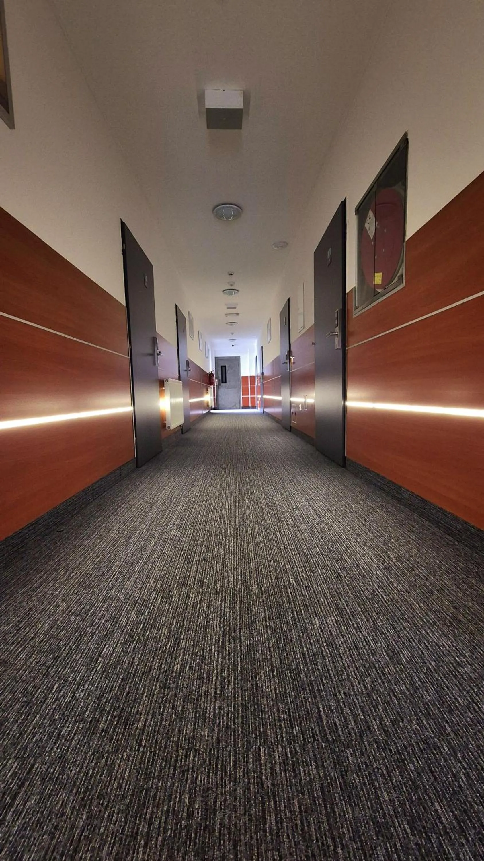 Property building in Penzion Nevada