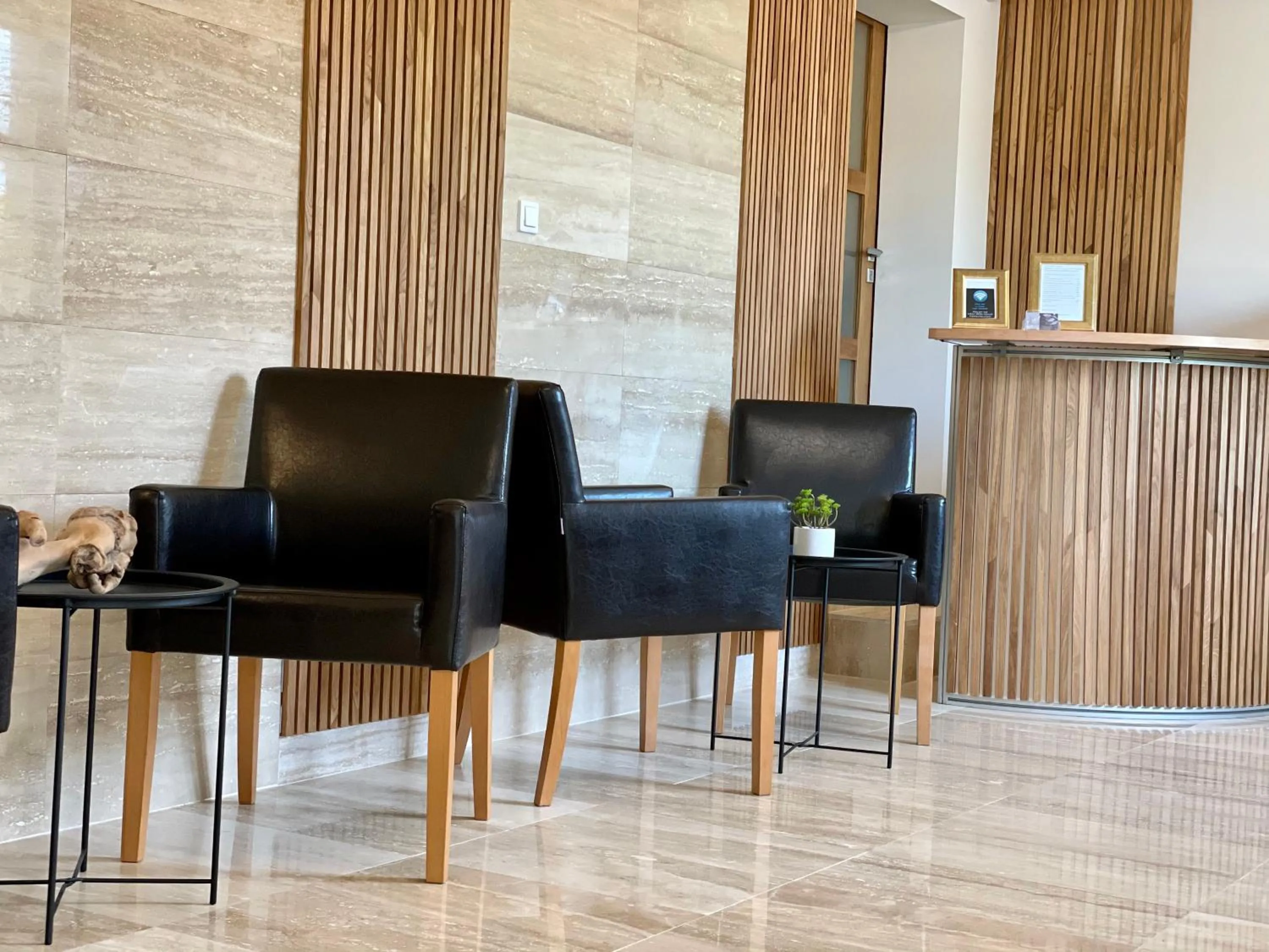 Lobby or reception in Penzion Nevada