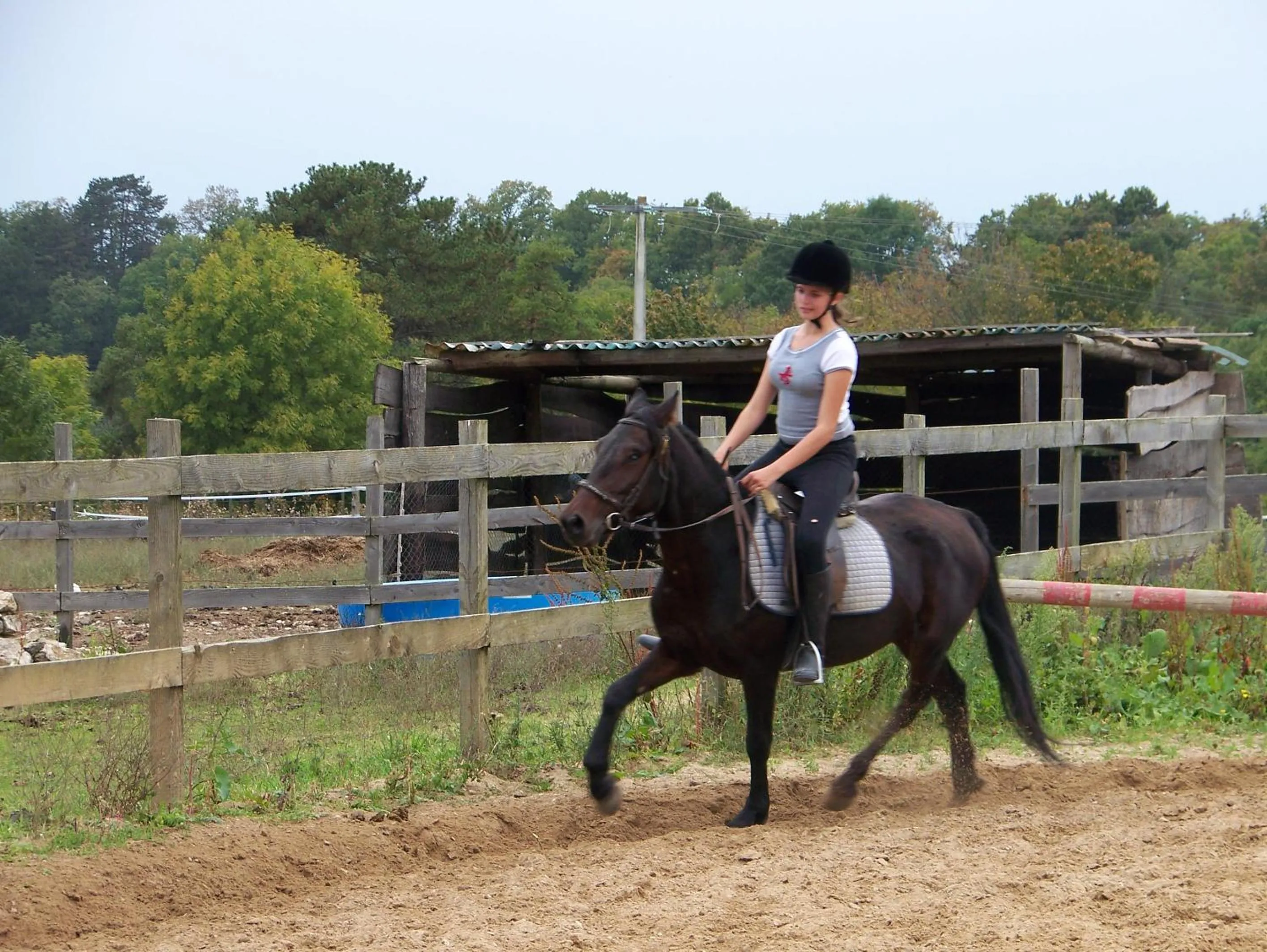 Hôtel restaurant les Templiers