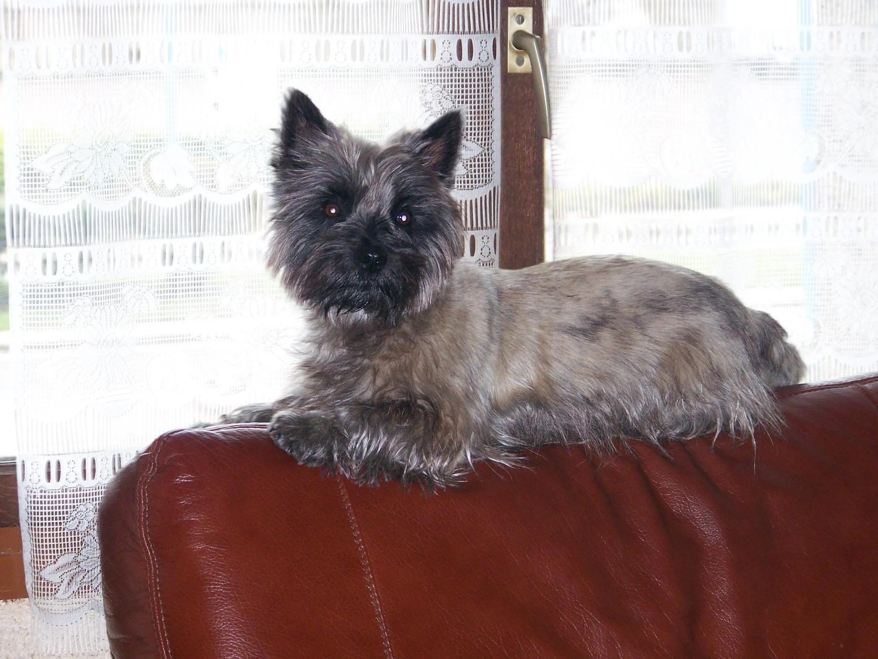 Hôtel restaurant les Templiers