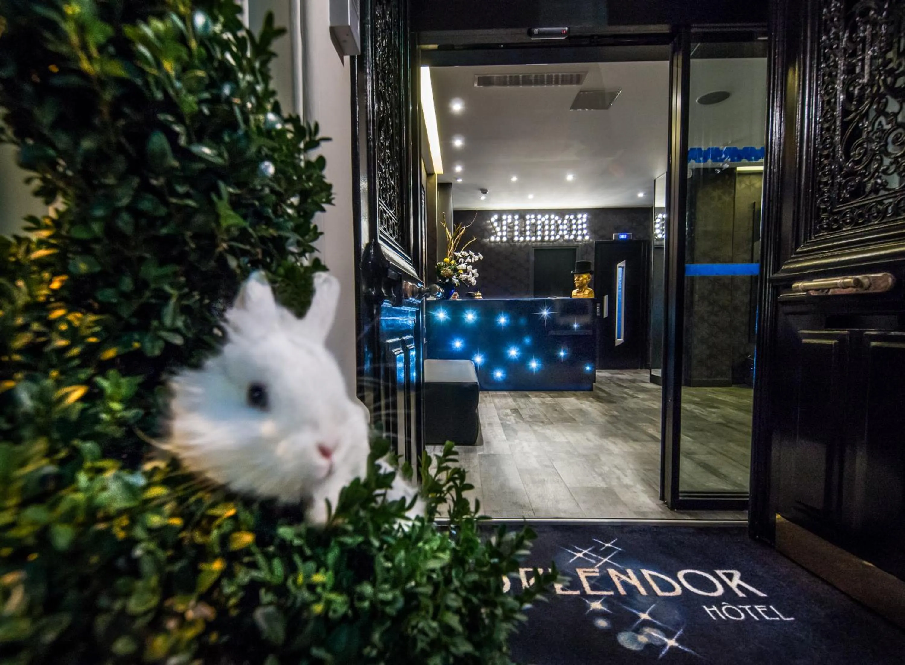 Facade/entrance in Hotel Splendor Elysées