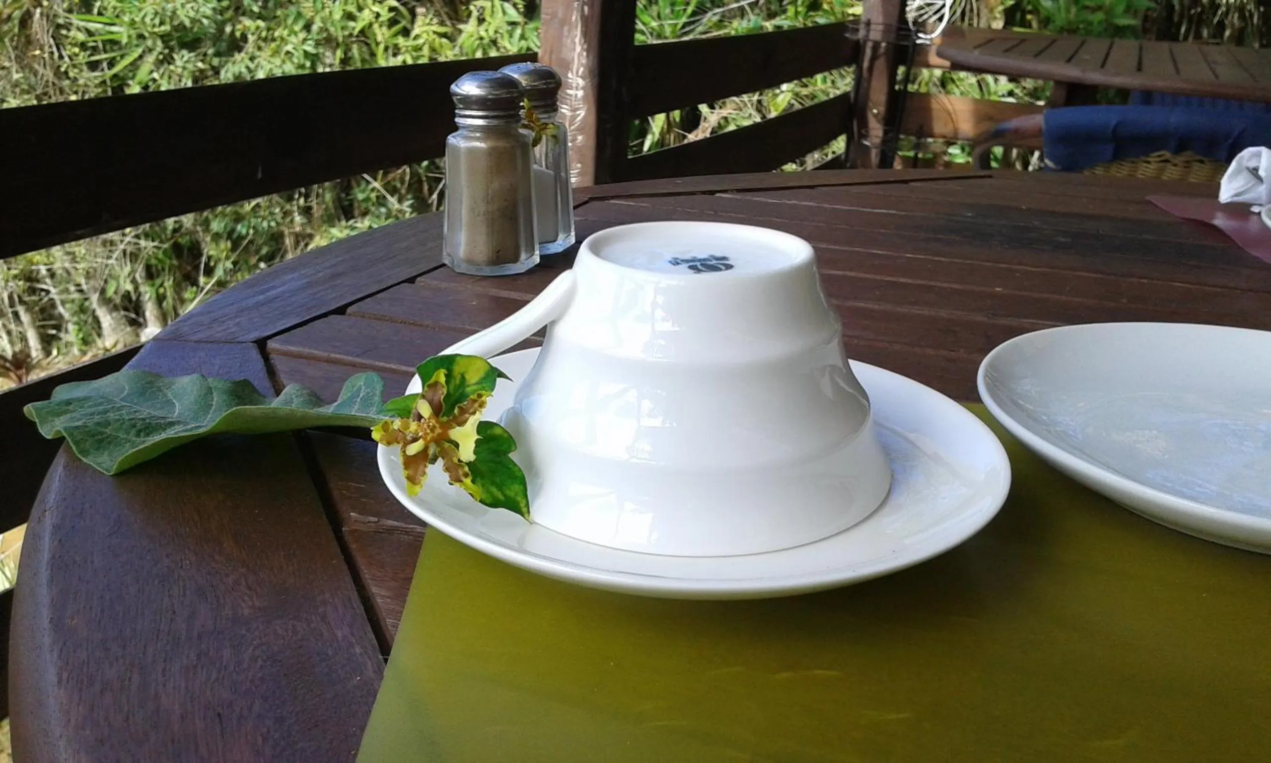 Coffee/tea facilities in Rinconcito Verde