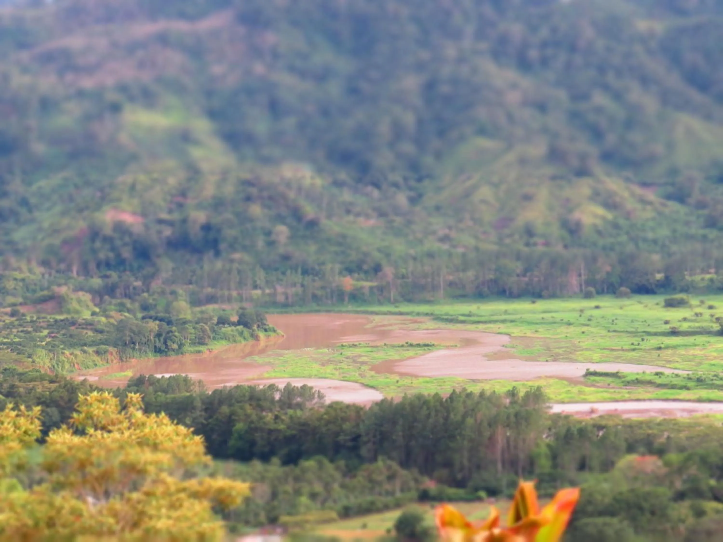 View (from property/room) in Rinconcito Verde