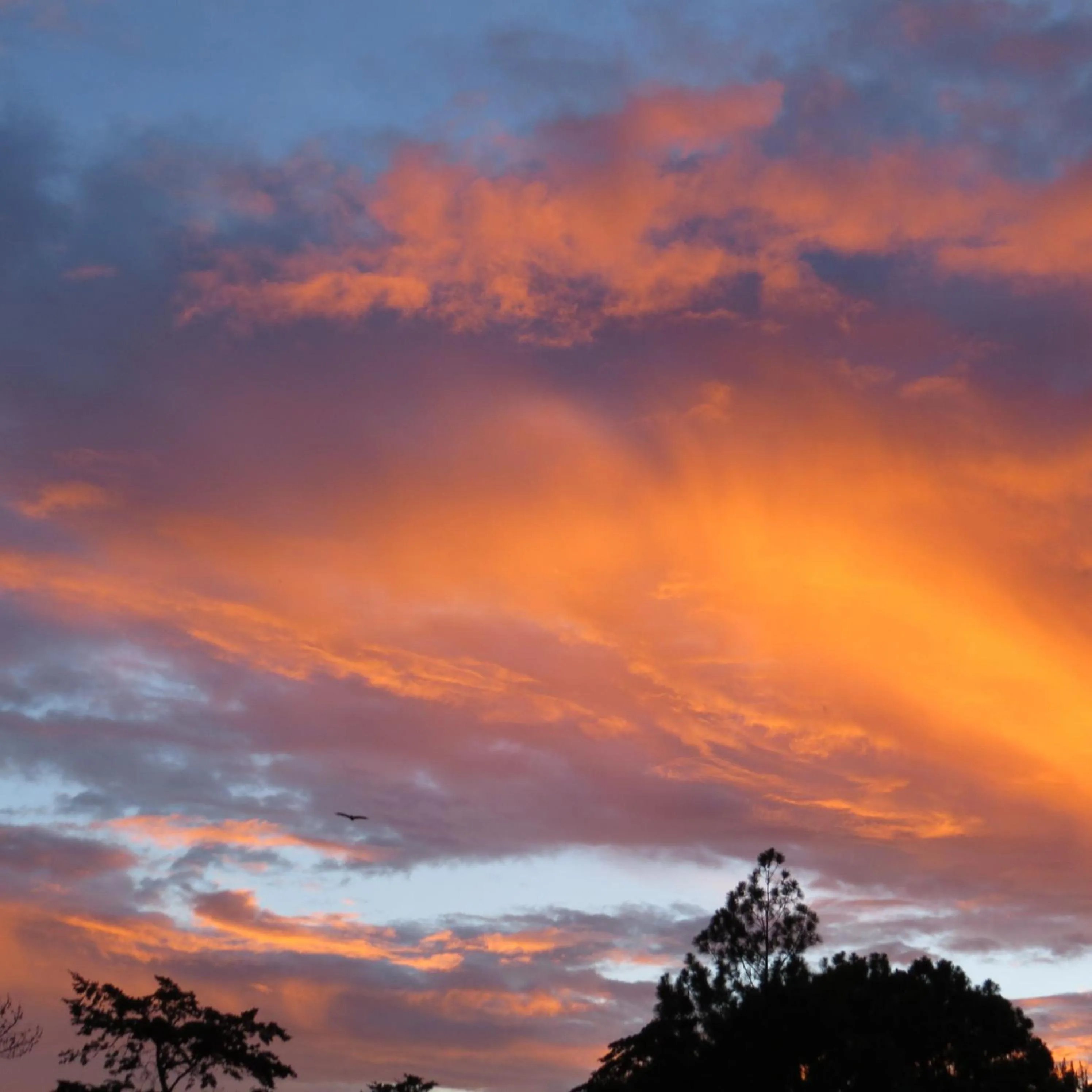View (from property/room) in Rinconcito Verde