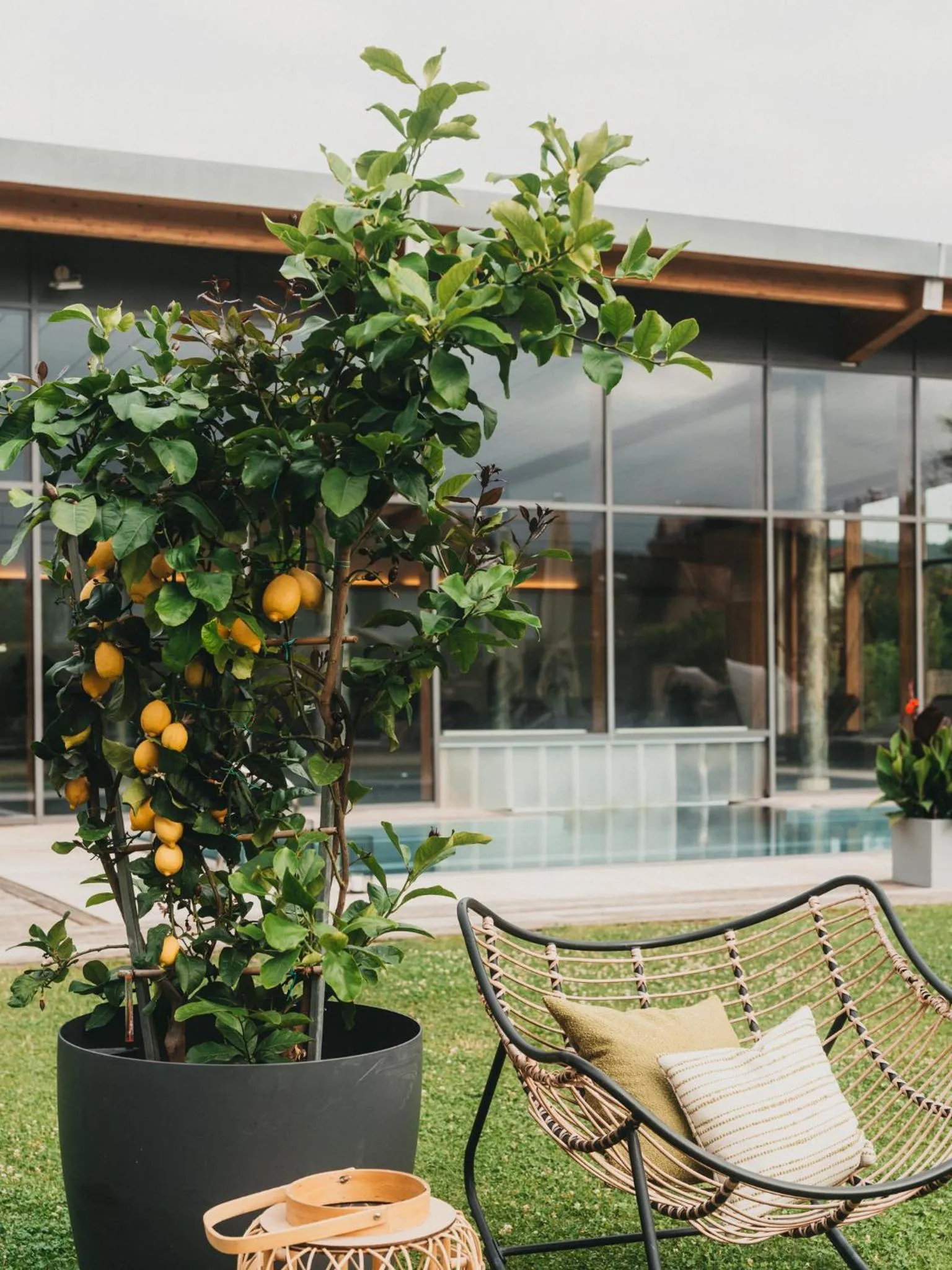 Garden in Hotel Eibl-Brunner 4-Sterne-Superior