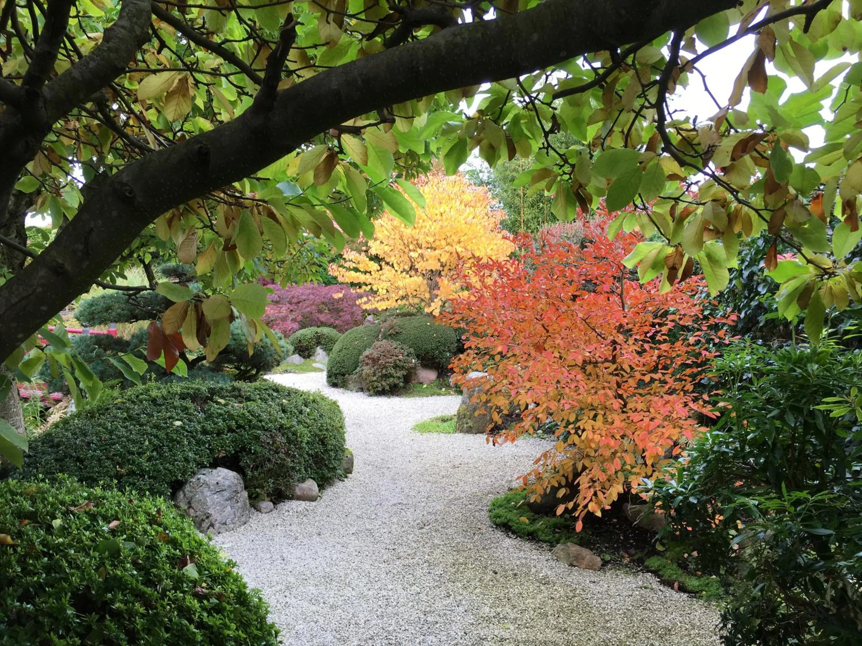 Garden in Den Japanske Have B & B