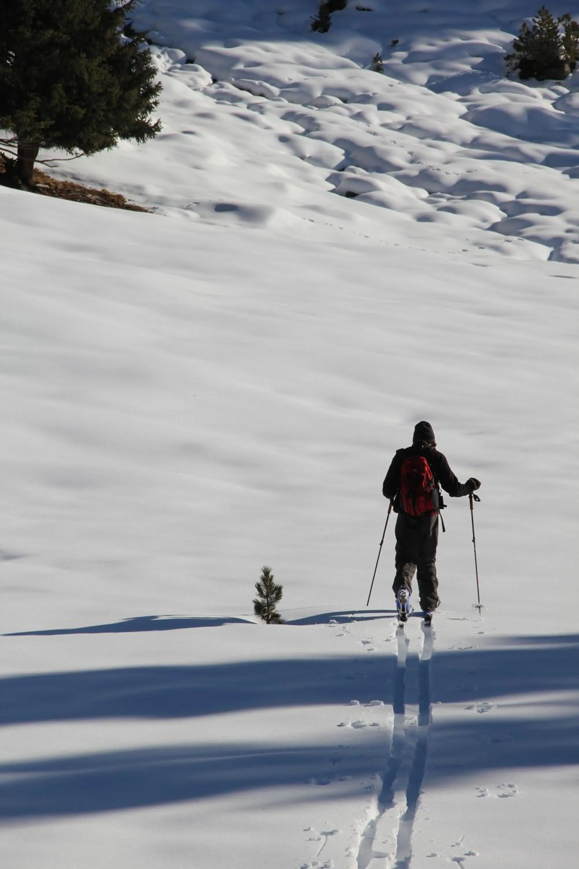 Skiing in Apart Gletscherblick