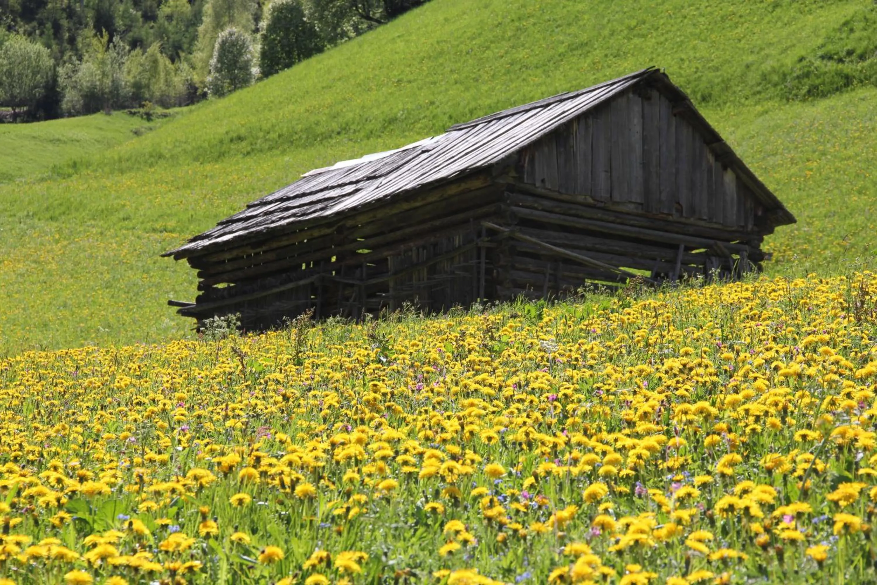 Property building in Apart Gletscherblick