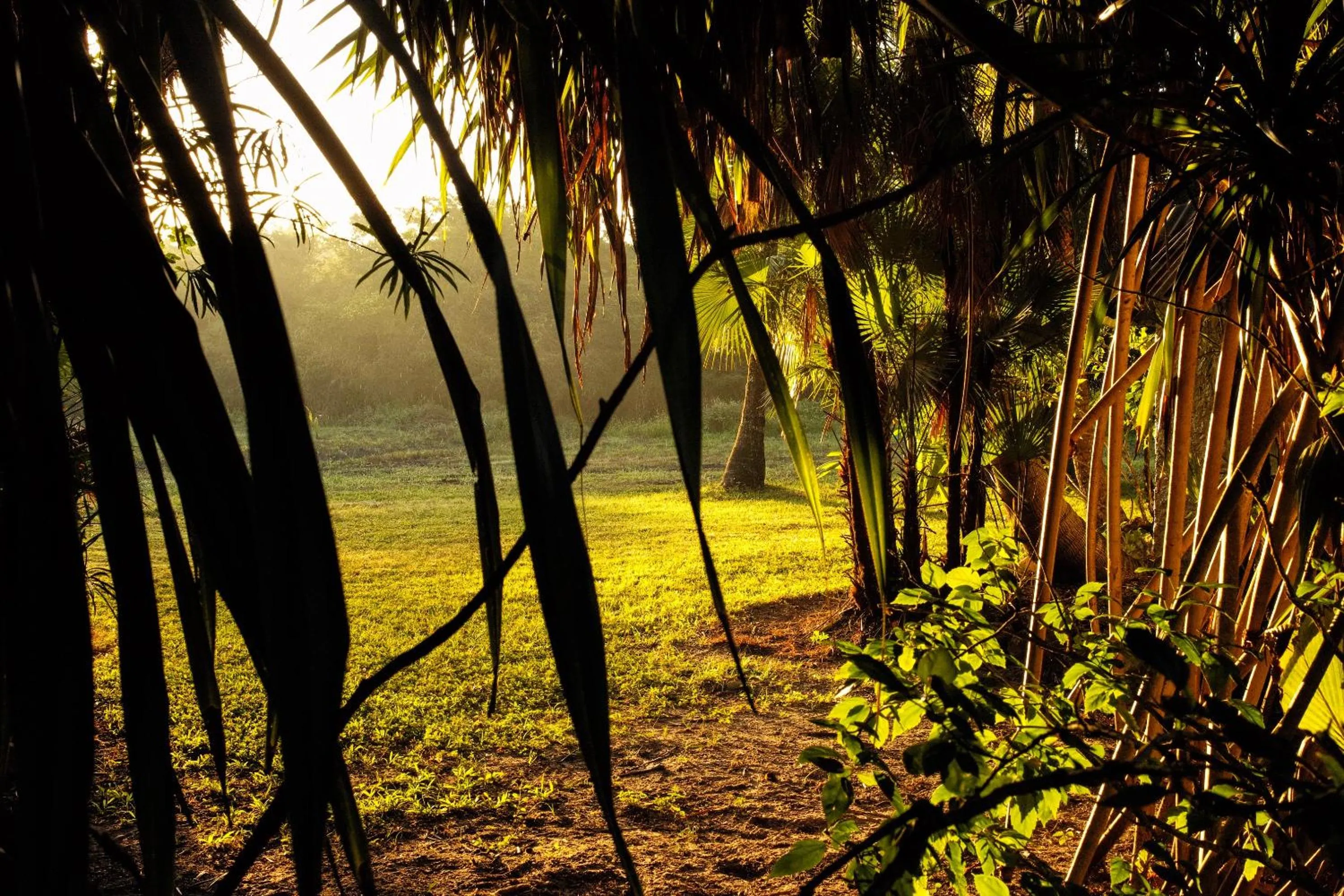 Natural landscape in ABEZZA Resort And Adventure Spa