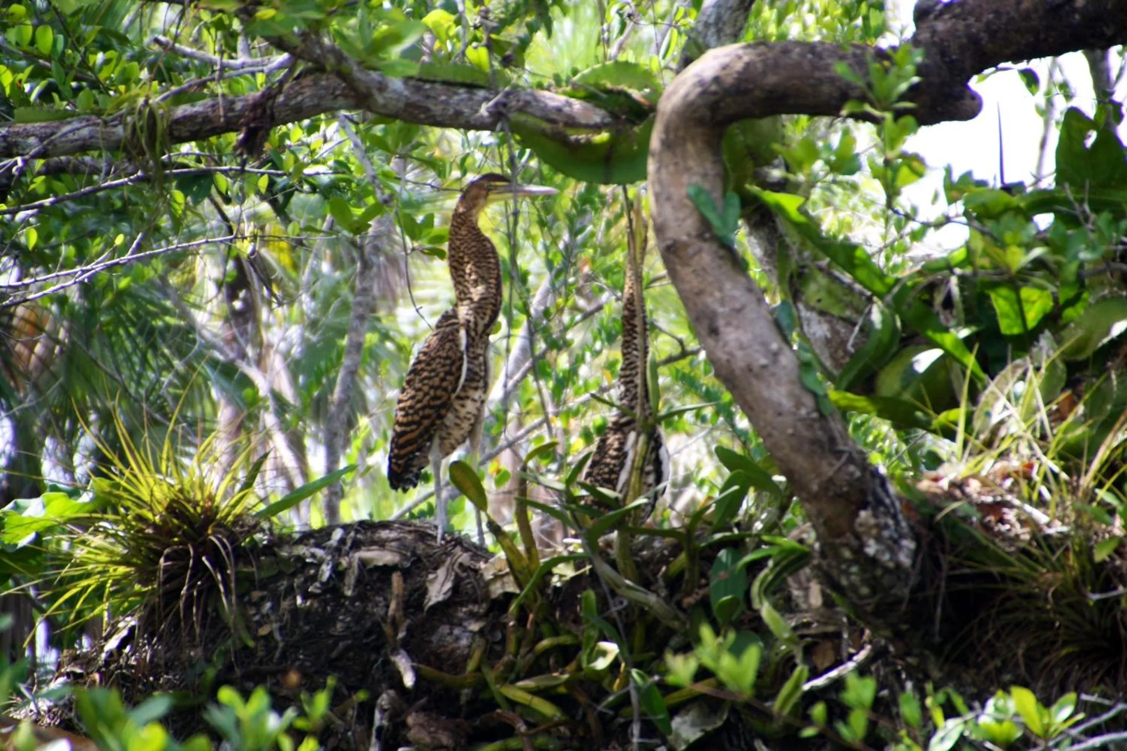 Nearby landmark in ABEZZA Resort And Adventure Spa