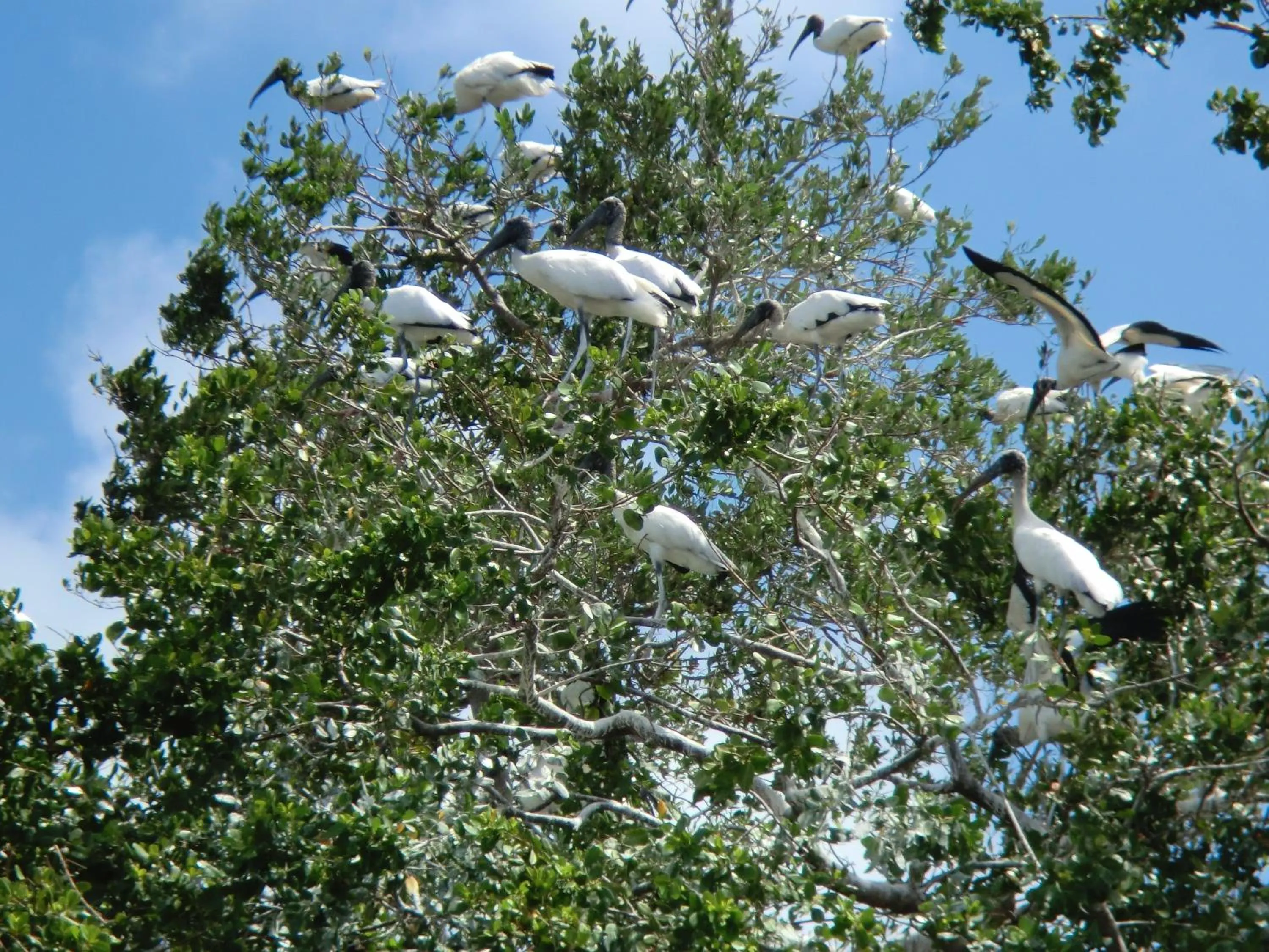 Nearby landmark in ABEZZA Resort And Adventure Spa