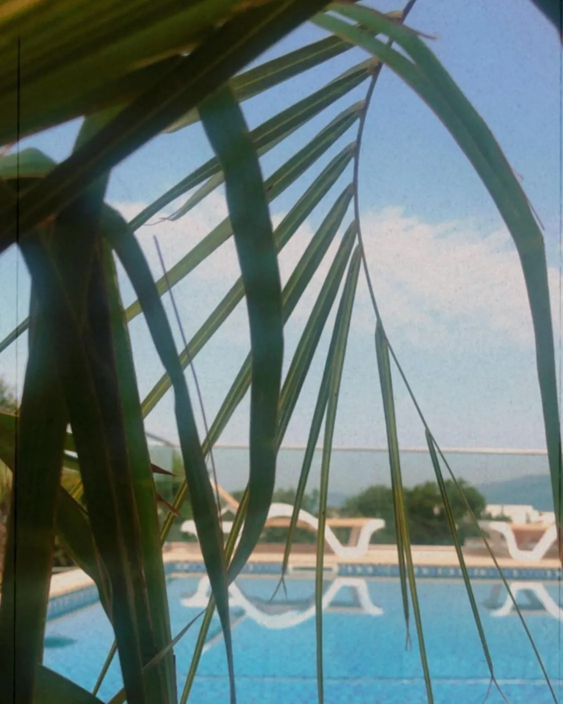 Natural landscape in AM Palace