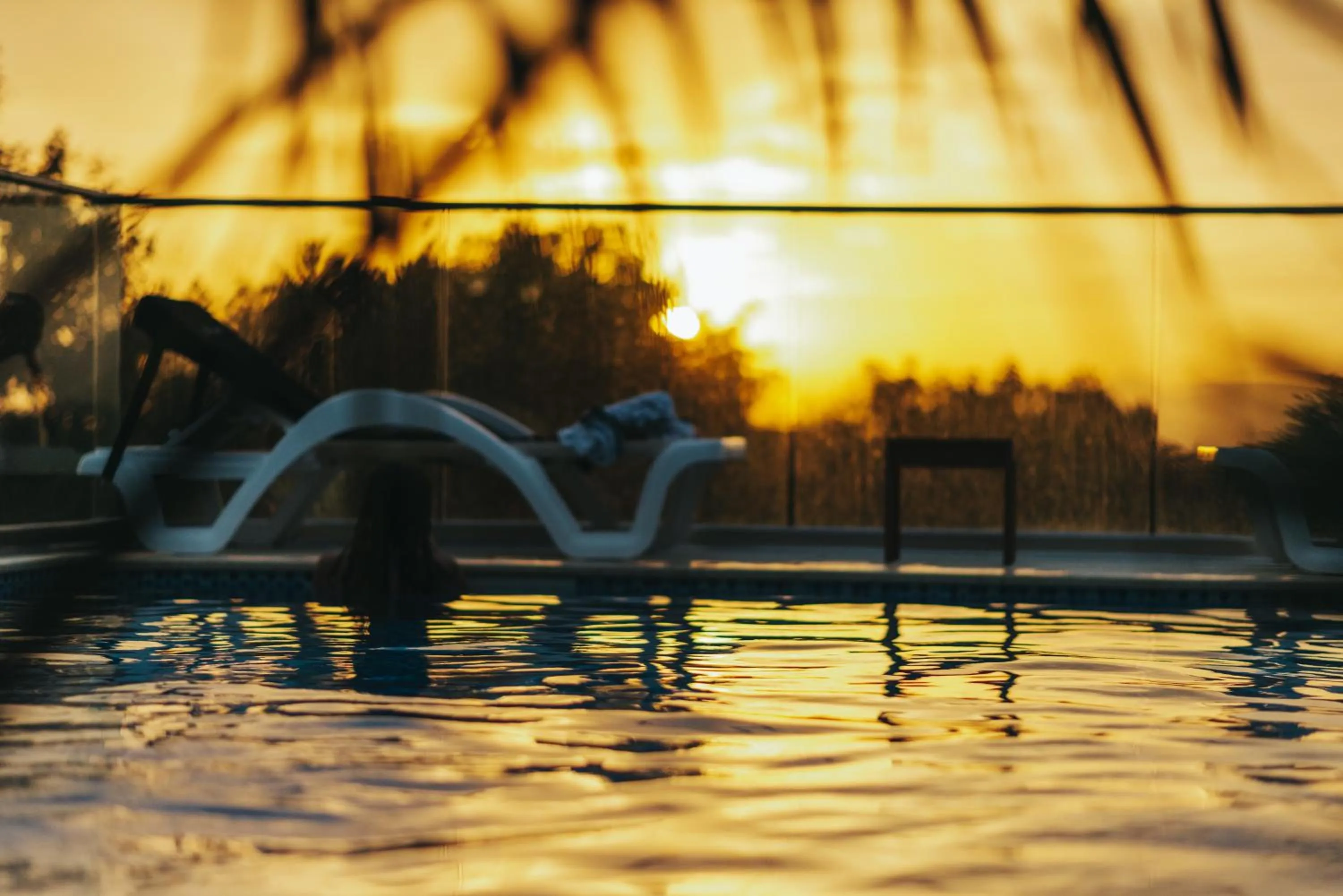 Natural landscape in AM Palace