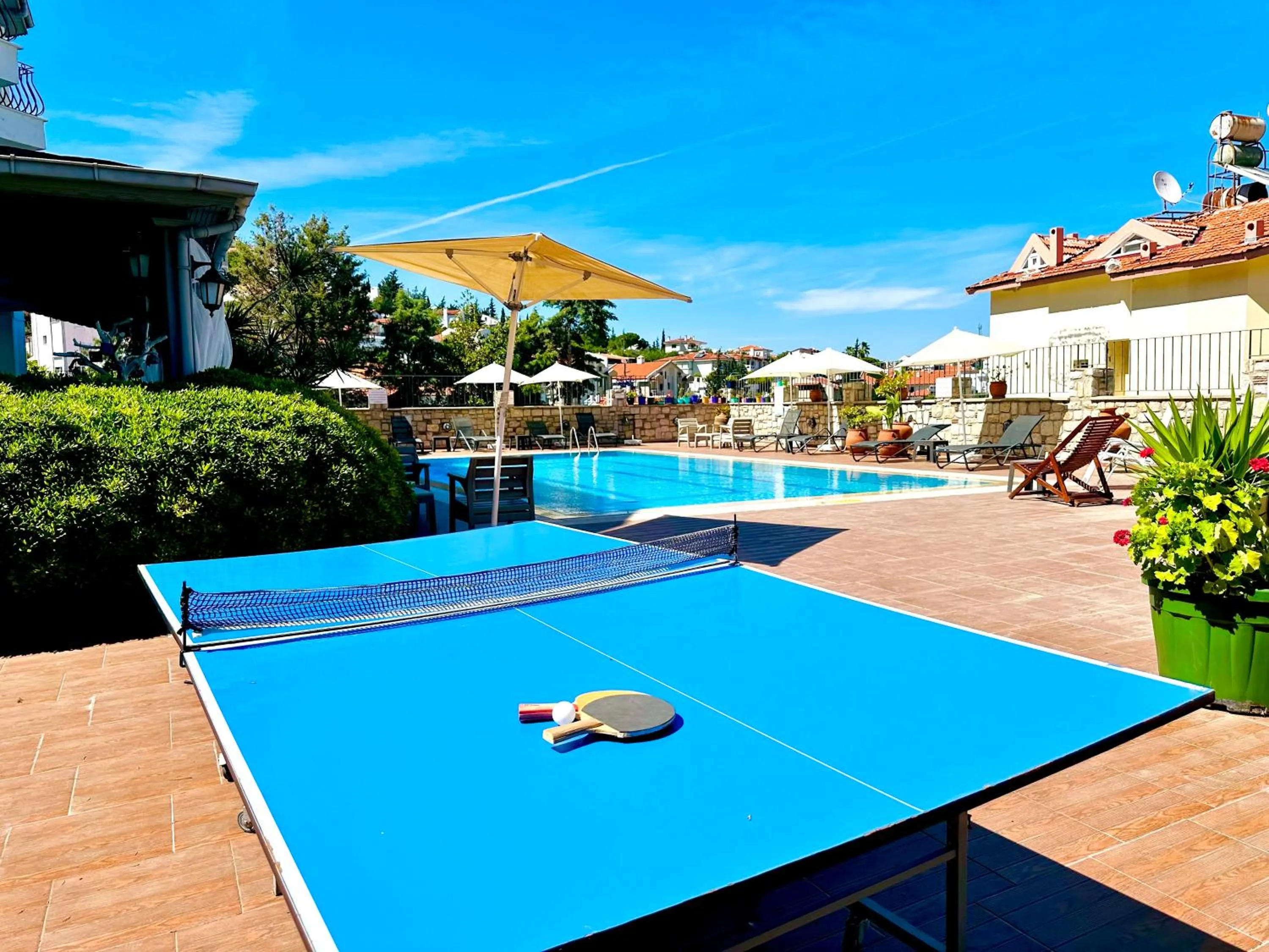 Table tennis in Villa Anfora